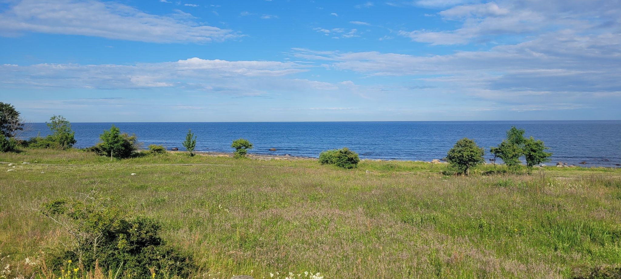 Blick zur Ostsee