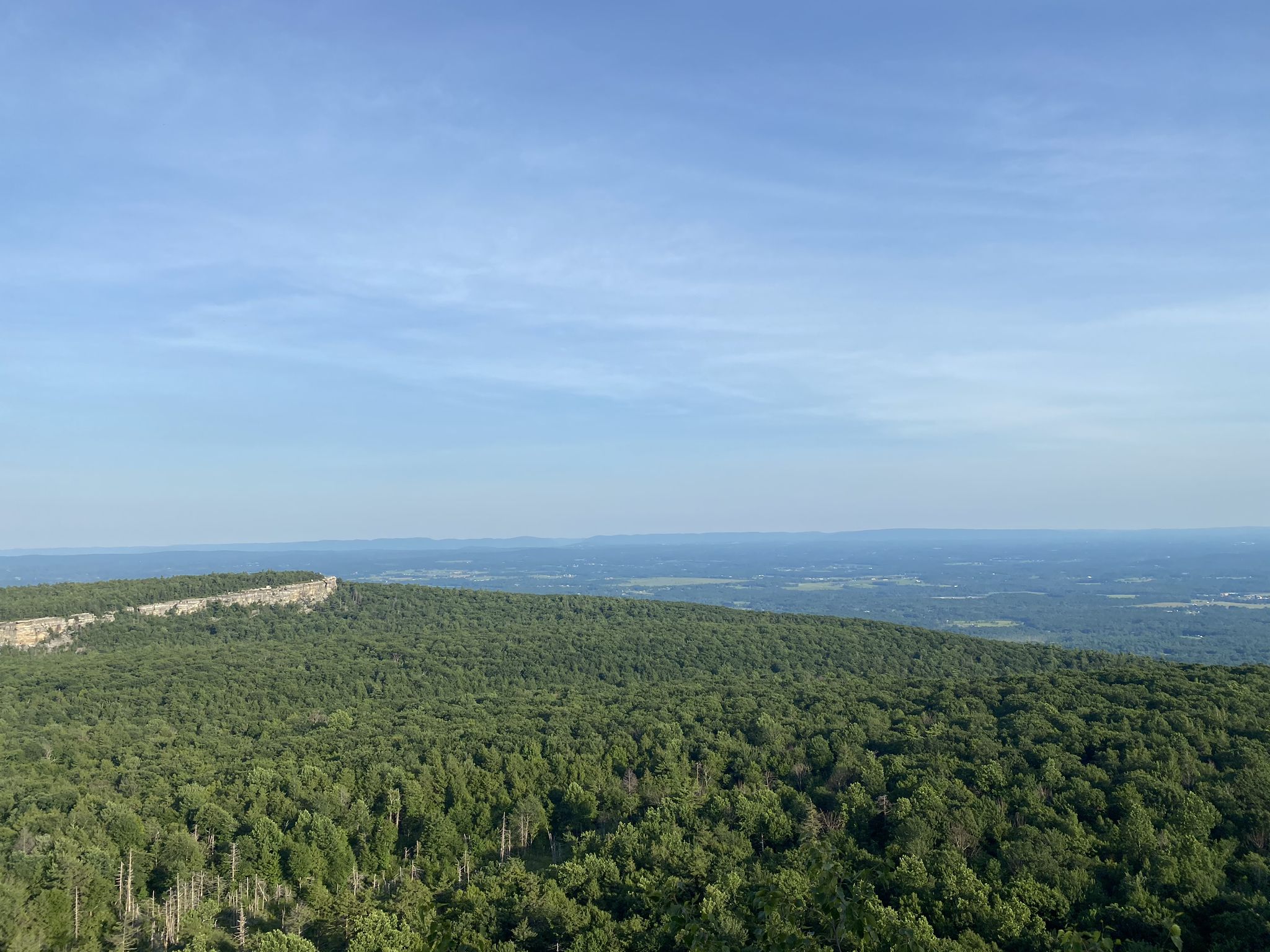 Expansive view of a green forest and distant horizon under a clear blue sky. - Lake Minnewaska and Lake Awosting Loop