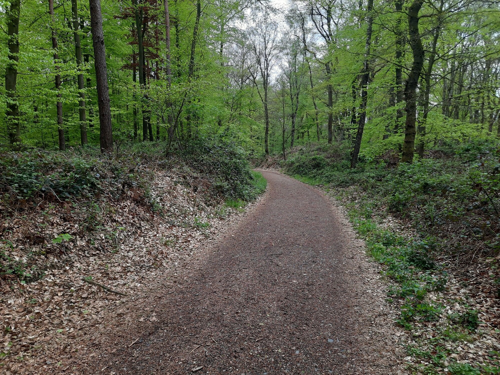 hoch und runter
