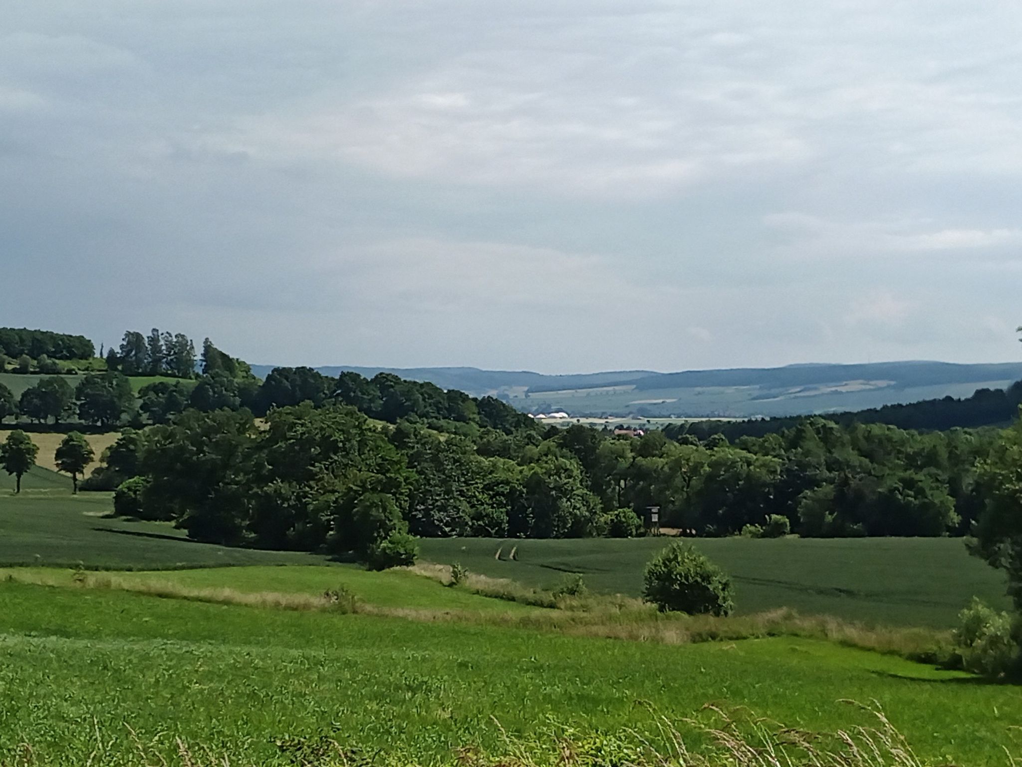der Anfang vom Harz