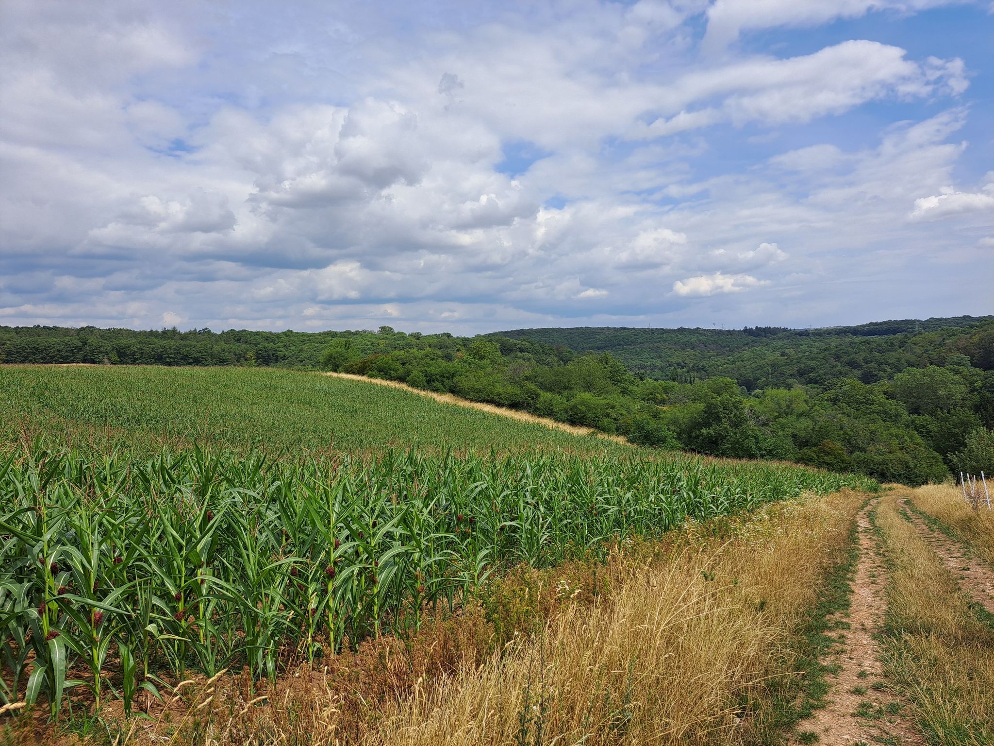 Panoramaweg