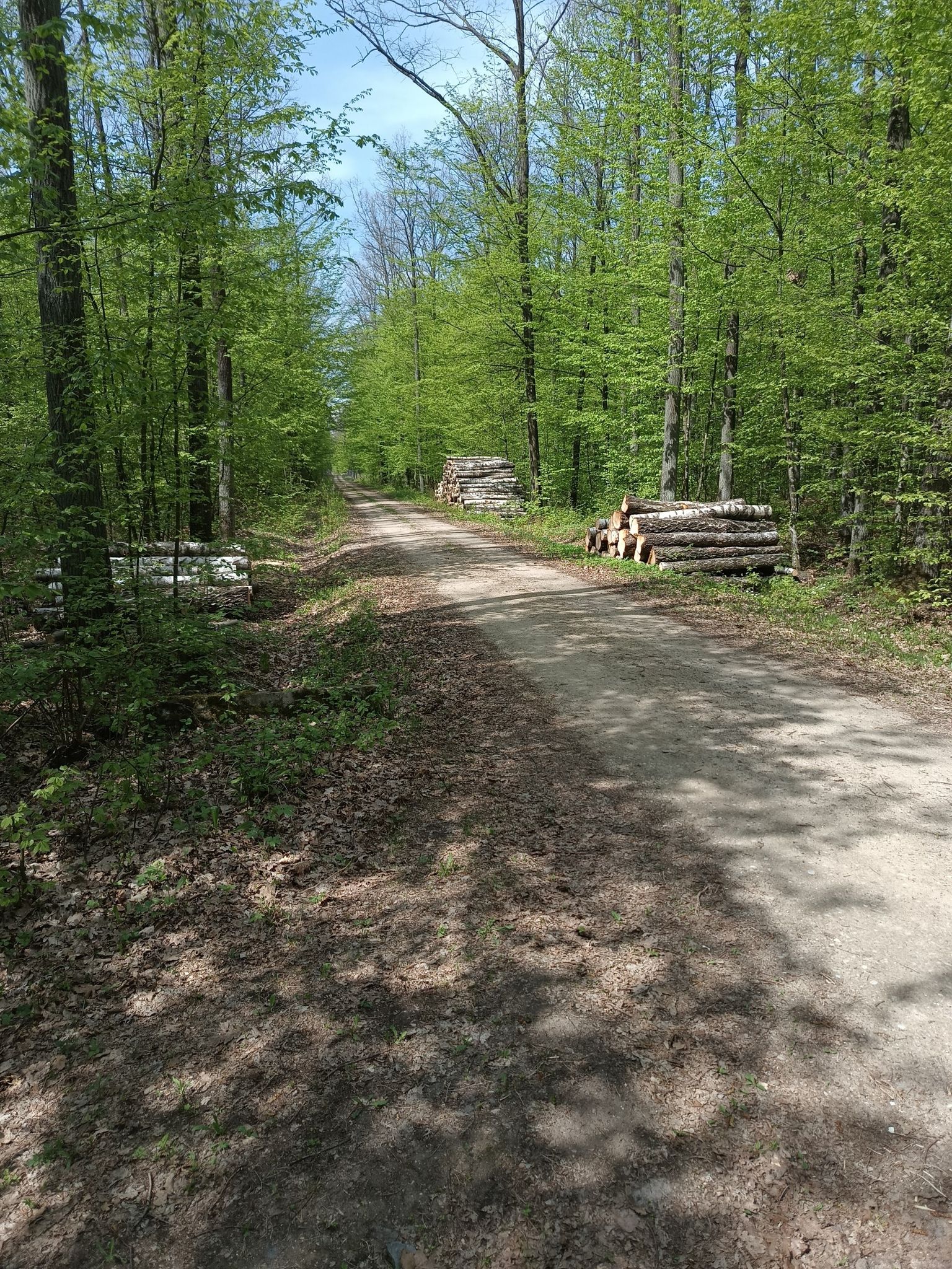 przyroda