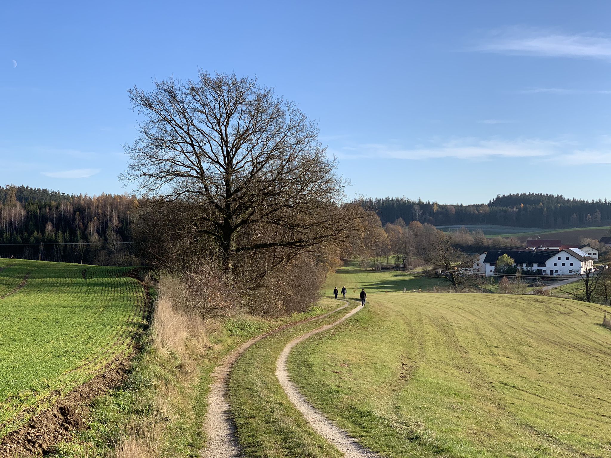 Viele Spaziergänger unterwegs bei der schönen Herbstsonne.