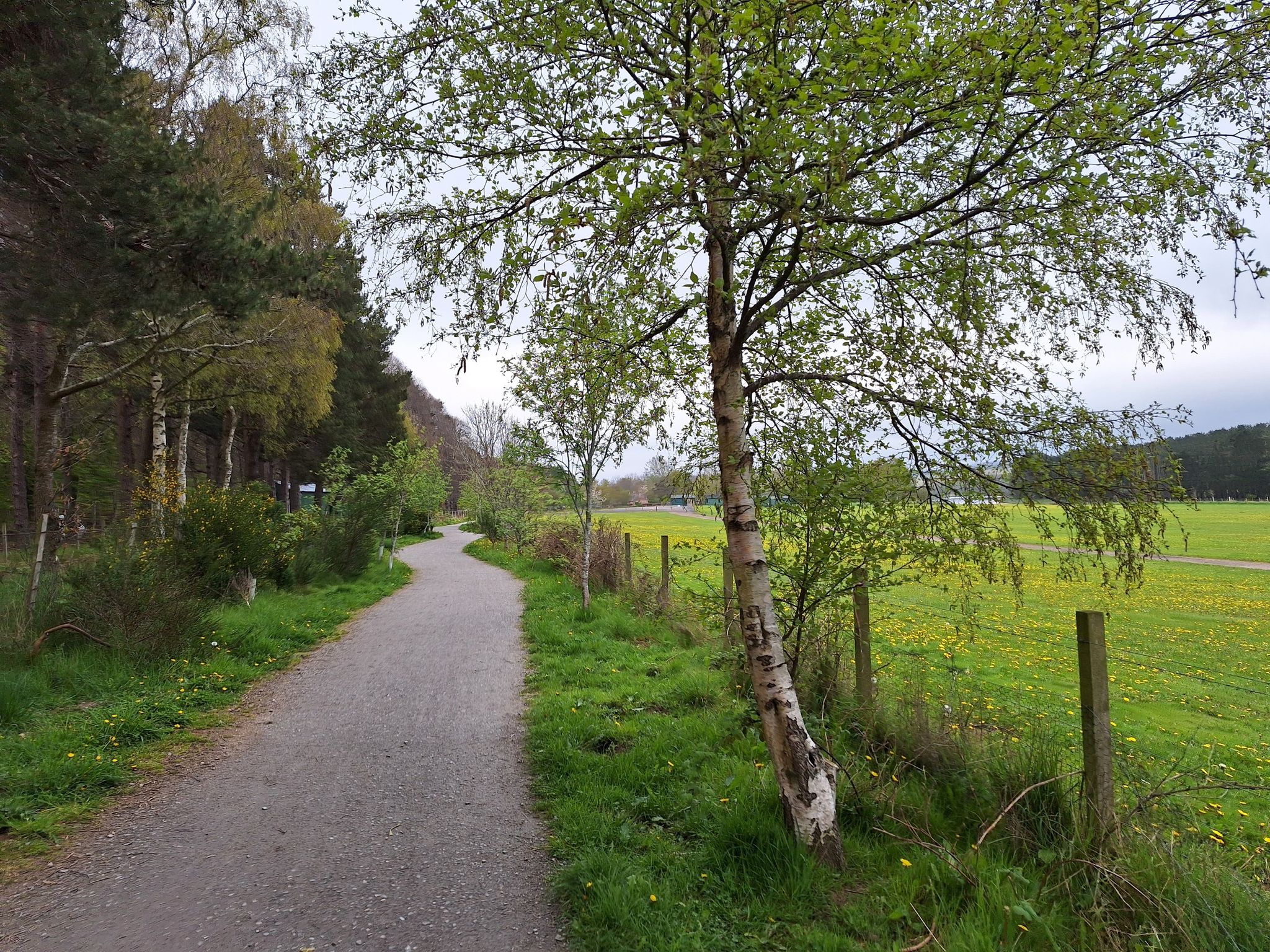 Deeside Way