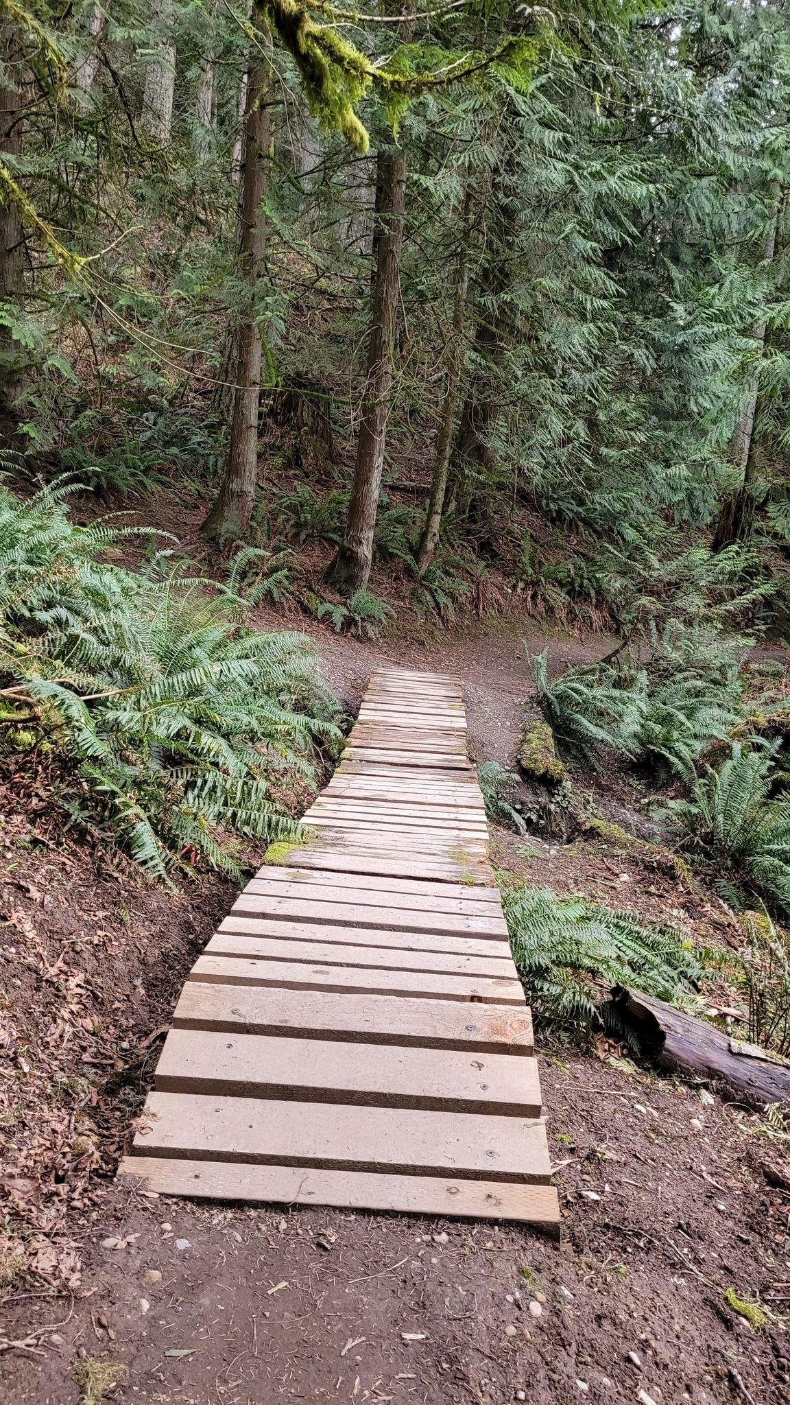 Bridge number two