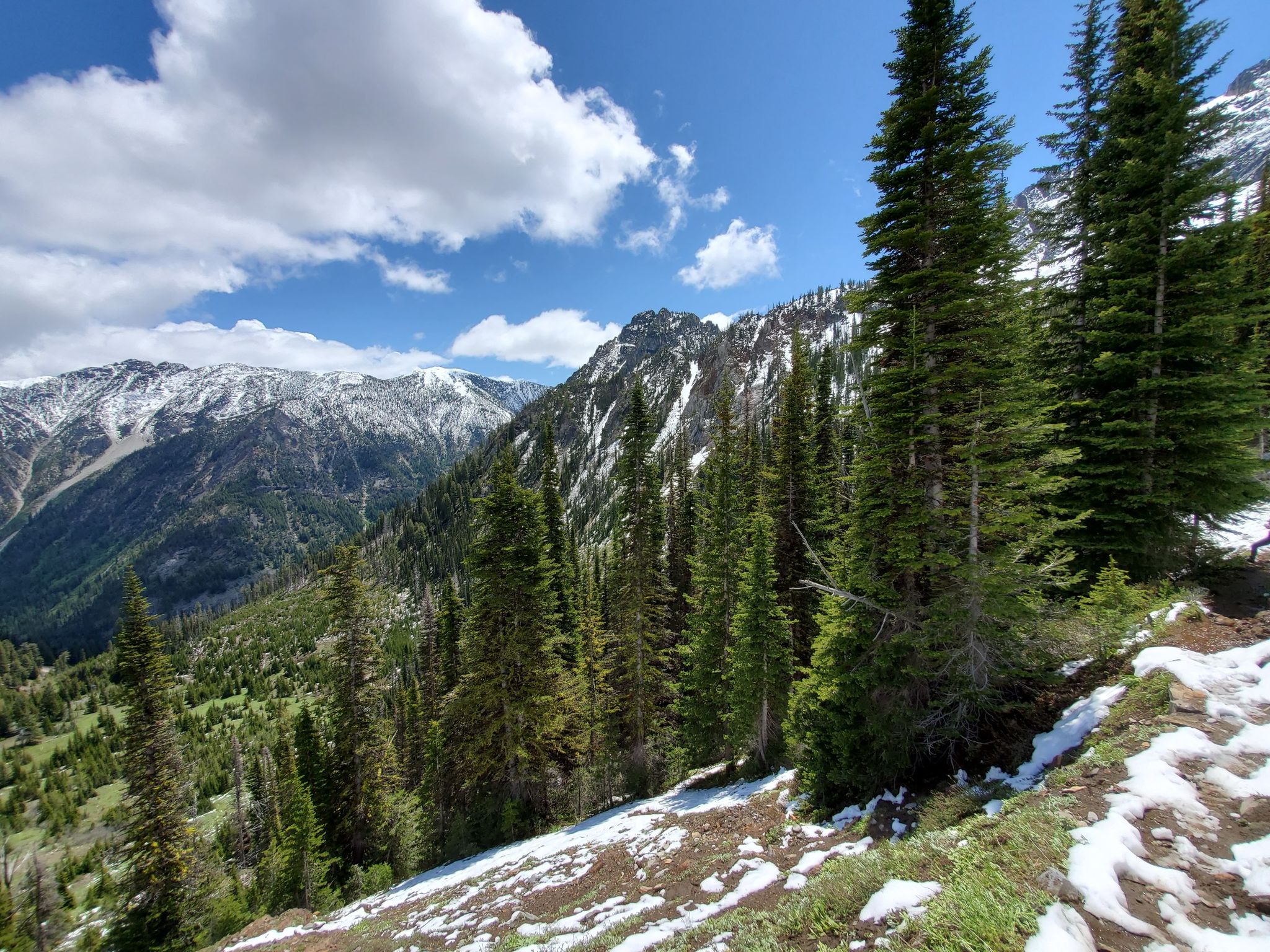 Sunny mountain vista with pine forests, snow patches, and distant peaks under blue sky. - Ice Lake Trail to Matterhorn Peak