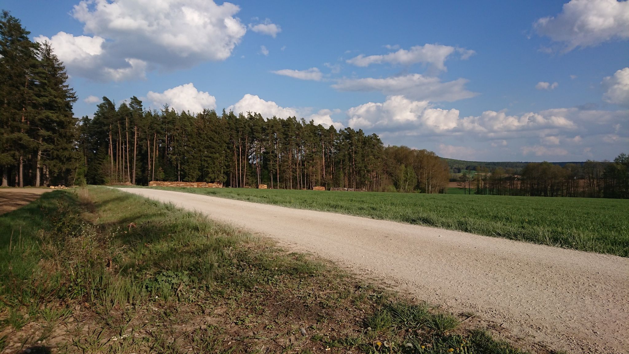 Bei Schnabelwaid
