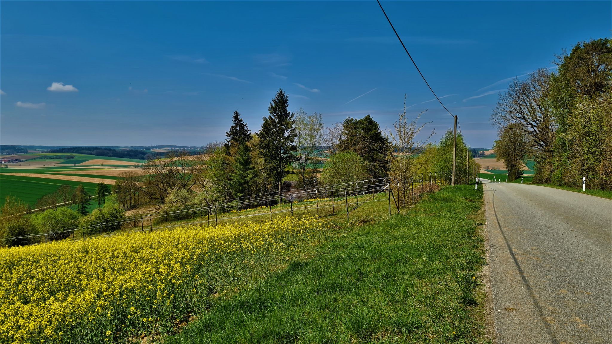 Murrenkreuth
