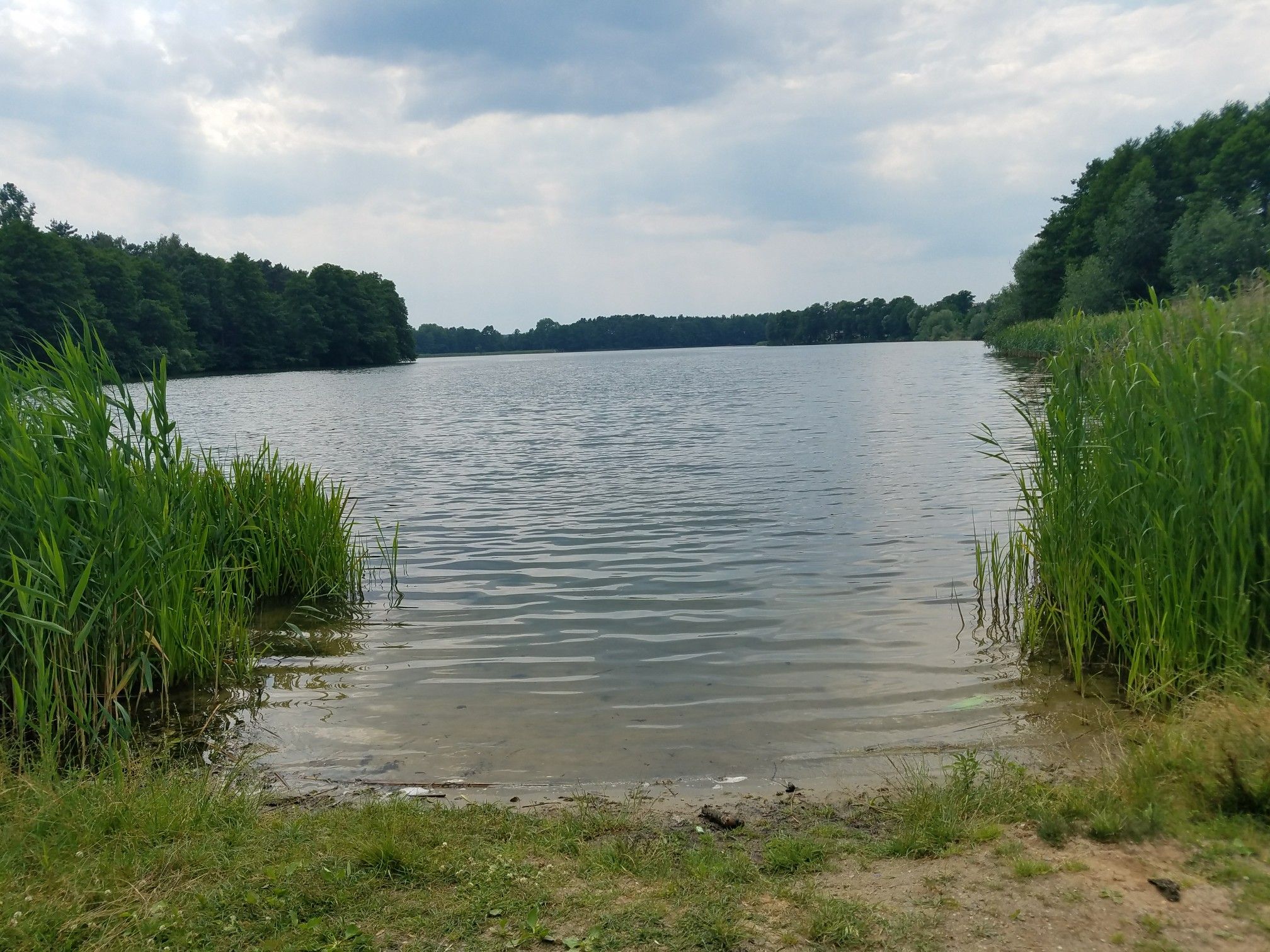 Kurzes Bad im See von Wysoka