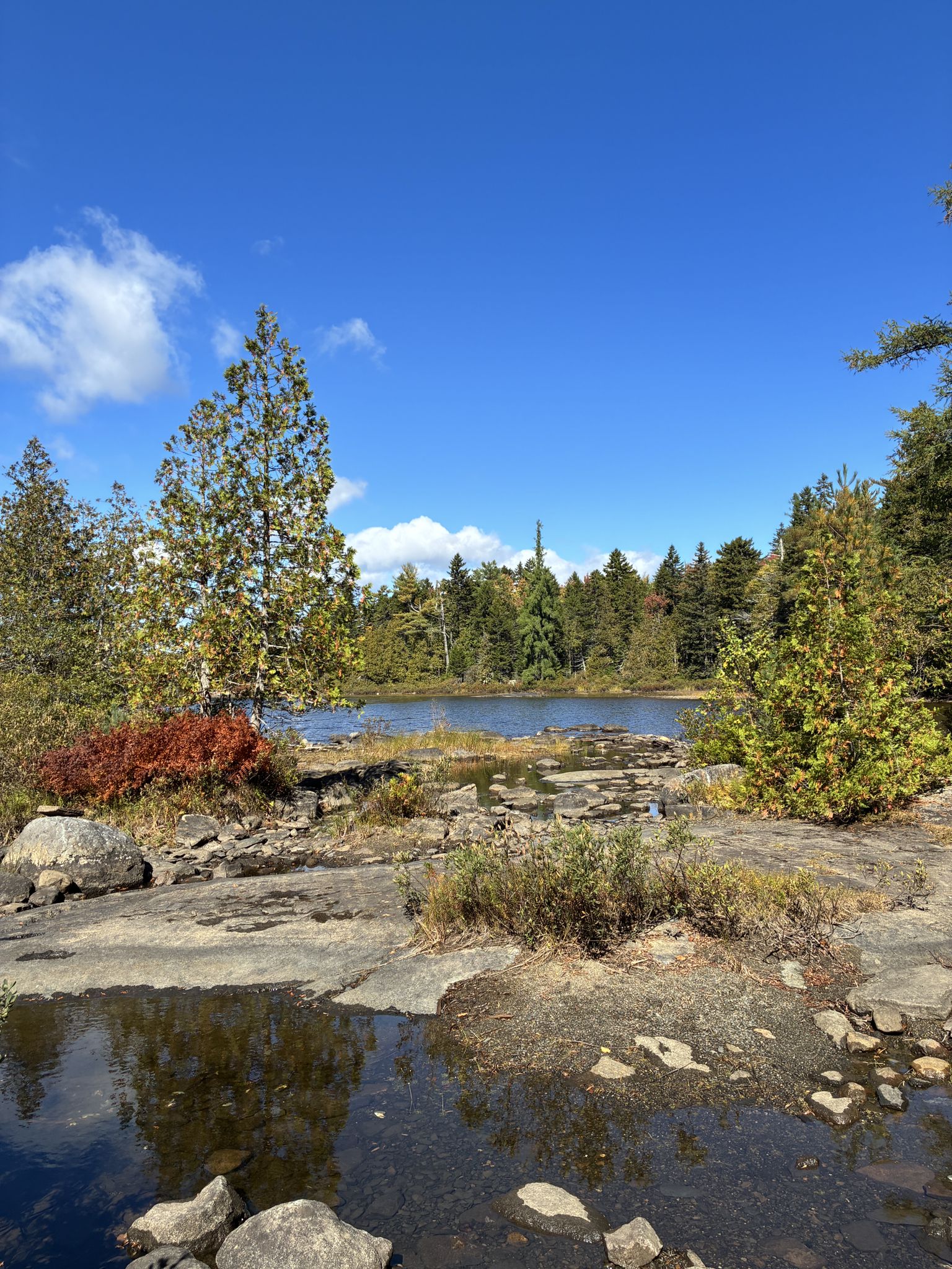 Sunny rocky shoreline with water, autumn trees, and a lake under blue sky. - Appalachian Trail: Monson to Leeman Brook Lean-to