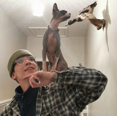 user avatar