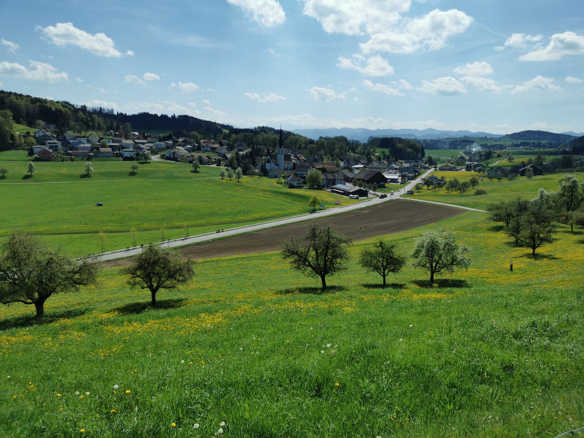Wuppenau