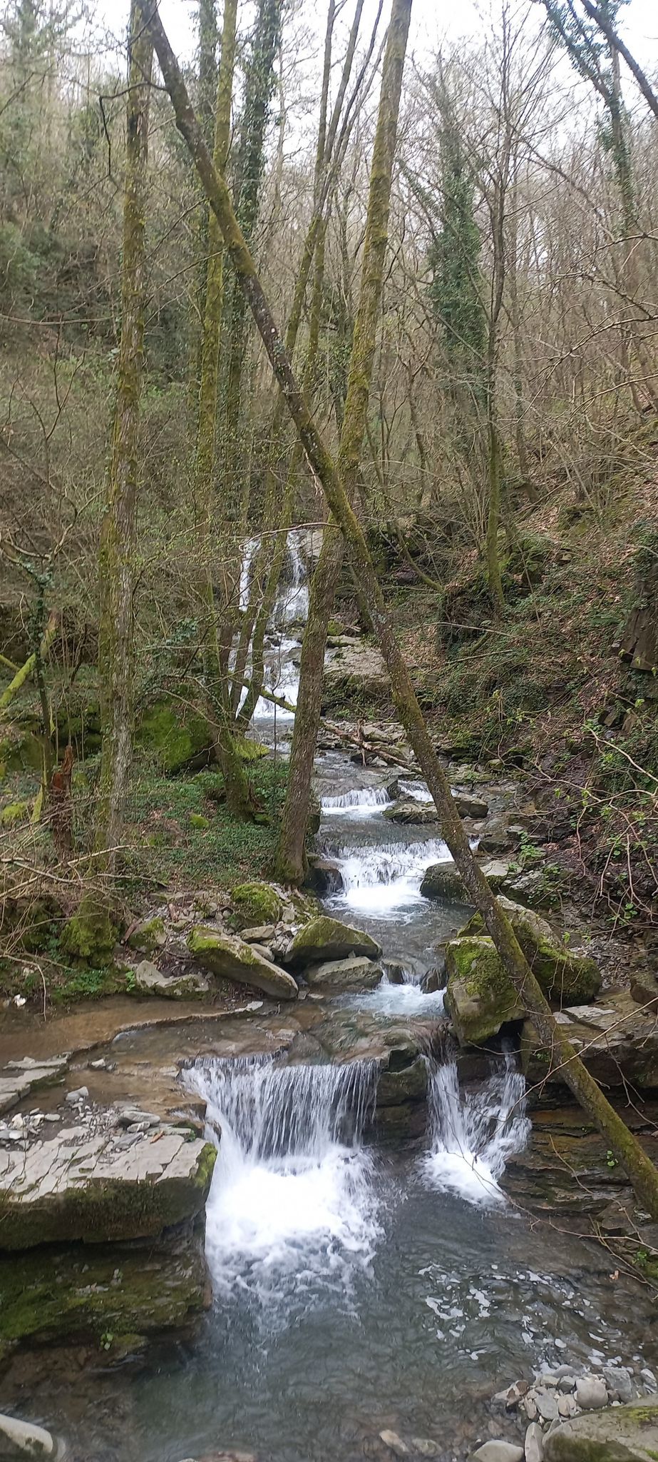 passo del pratello