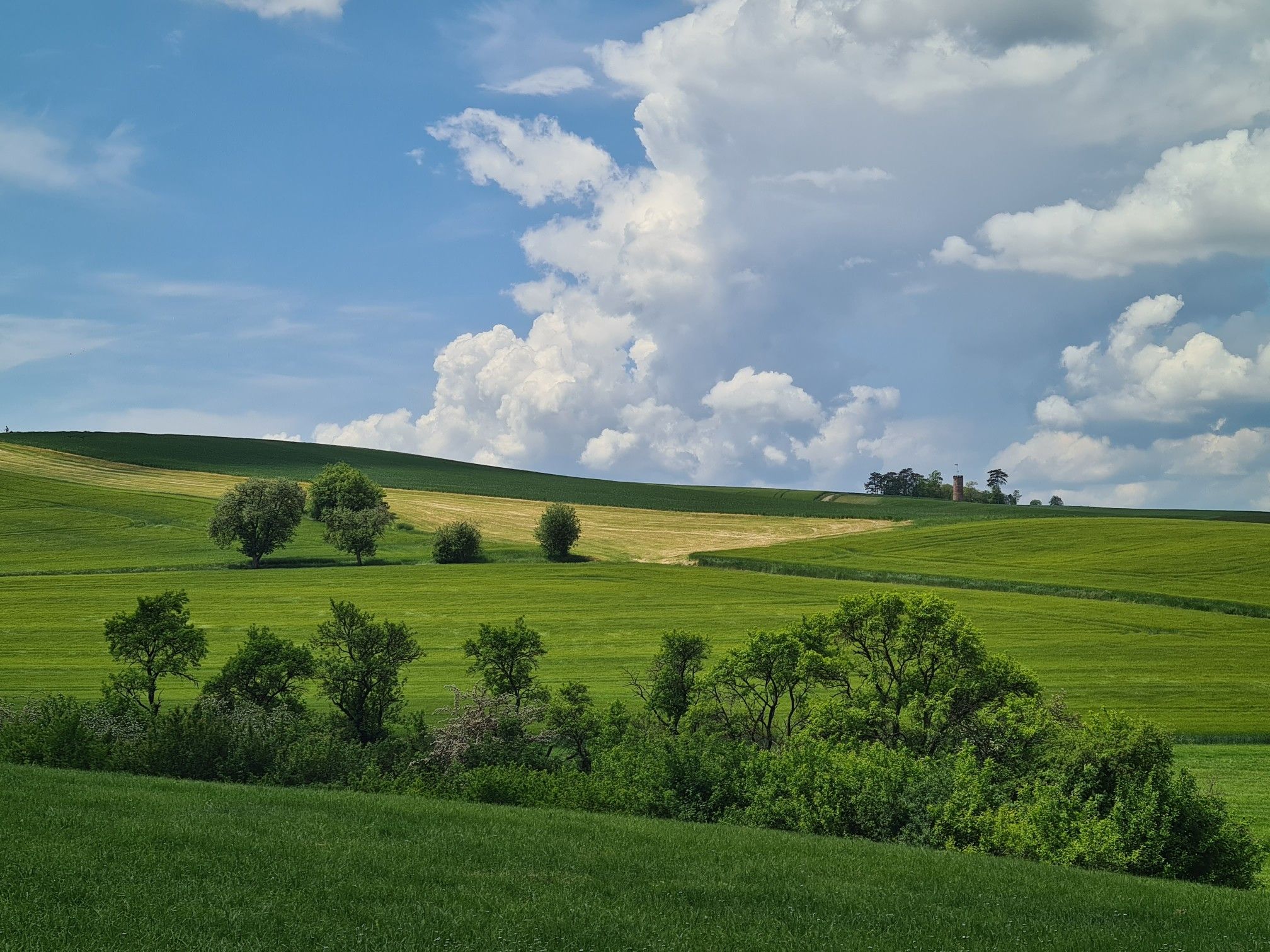 Blick auf den Warthturm
