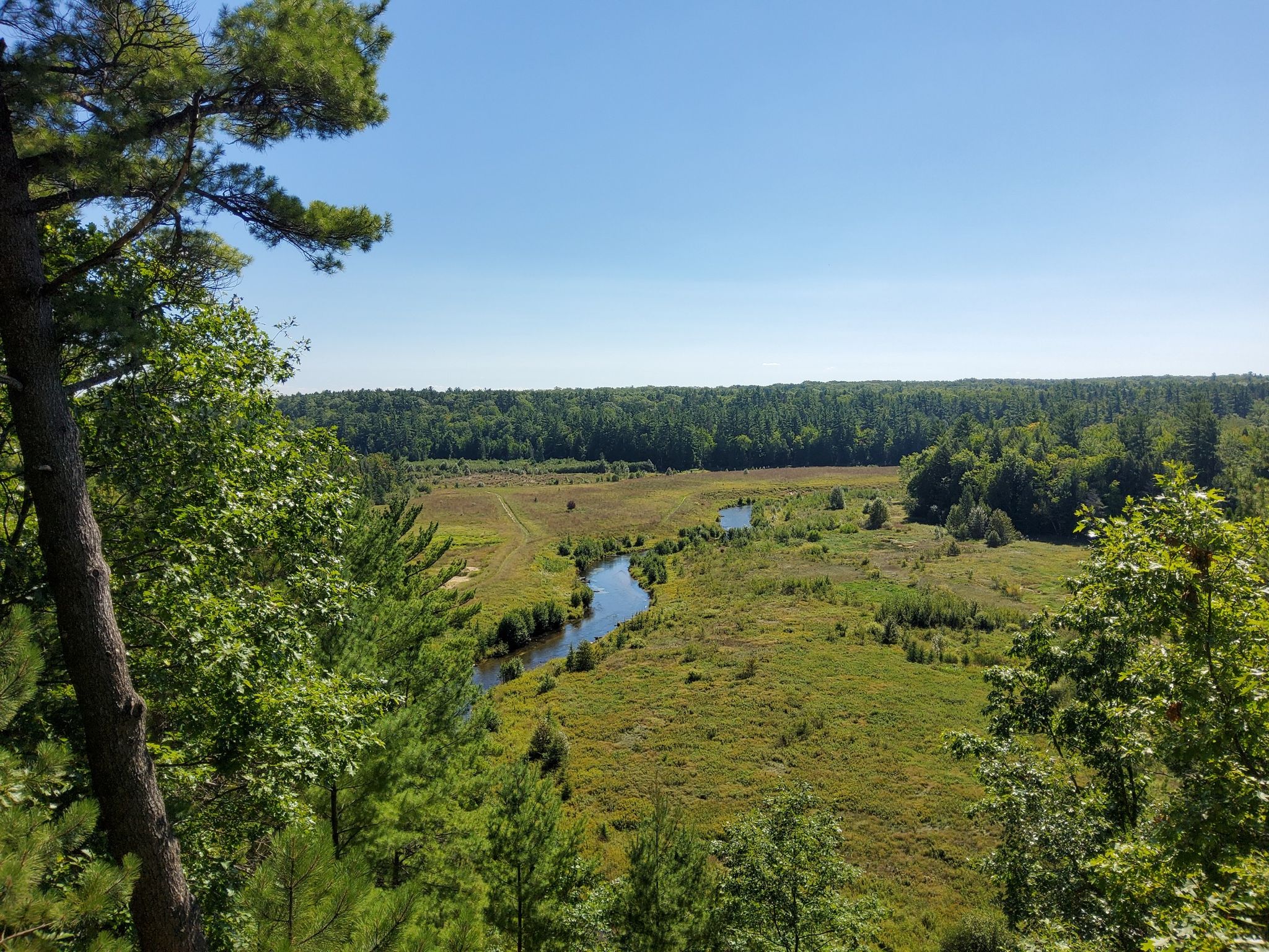 Elevated view of a winding river through a wide green meadow and distant forest. - Boardman River loop from Brown Bridge Quiet Area