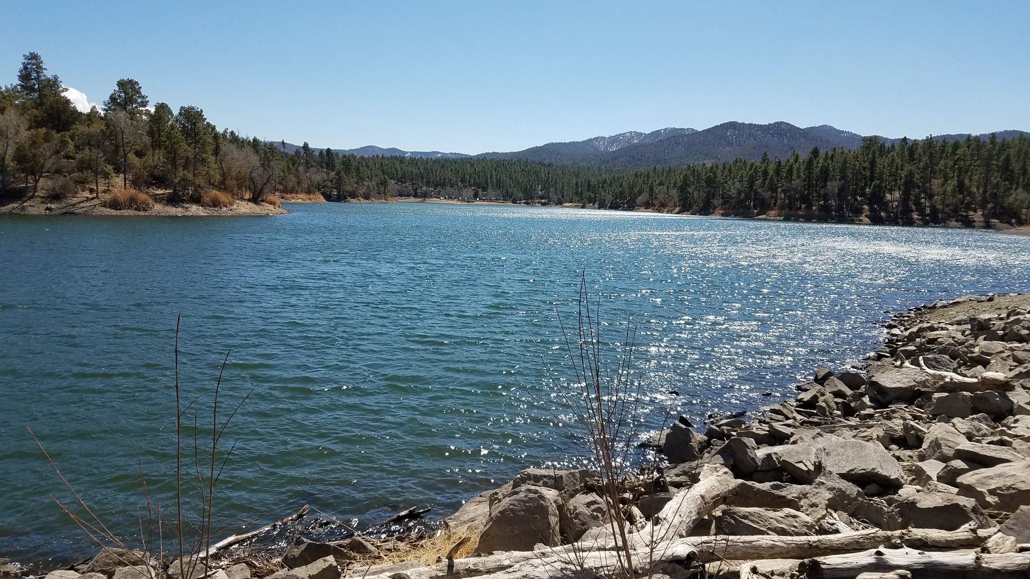 Sunny lake with sparkling water, rocky shore, distant mountains, and pine trees. - Gold Pan Trail #444 to Lynx Lake