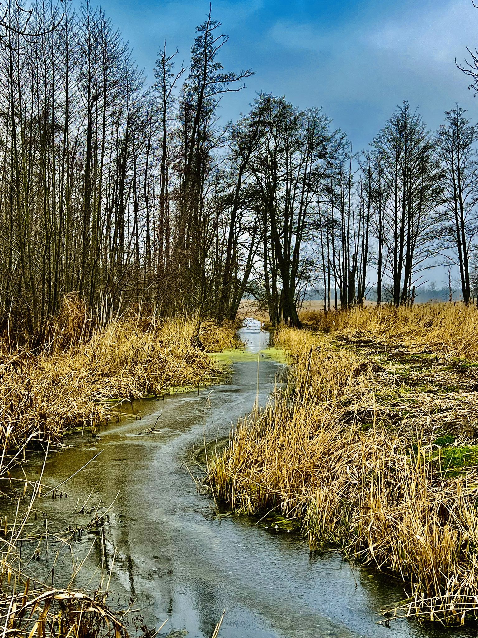 Der gefrorene Schillerbach