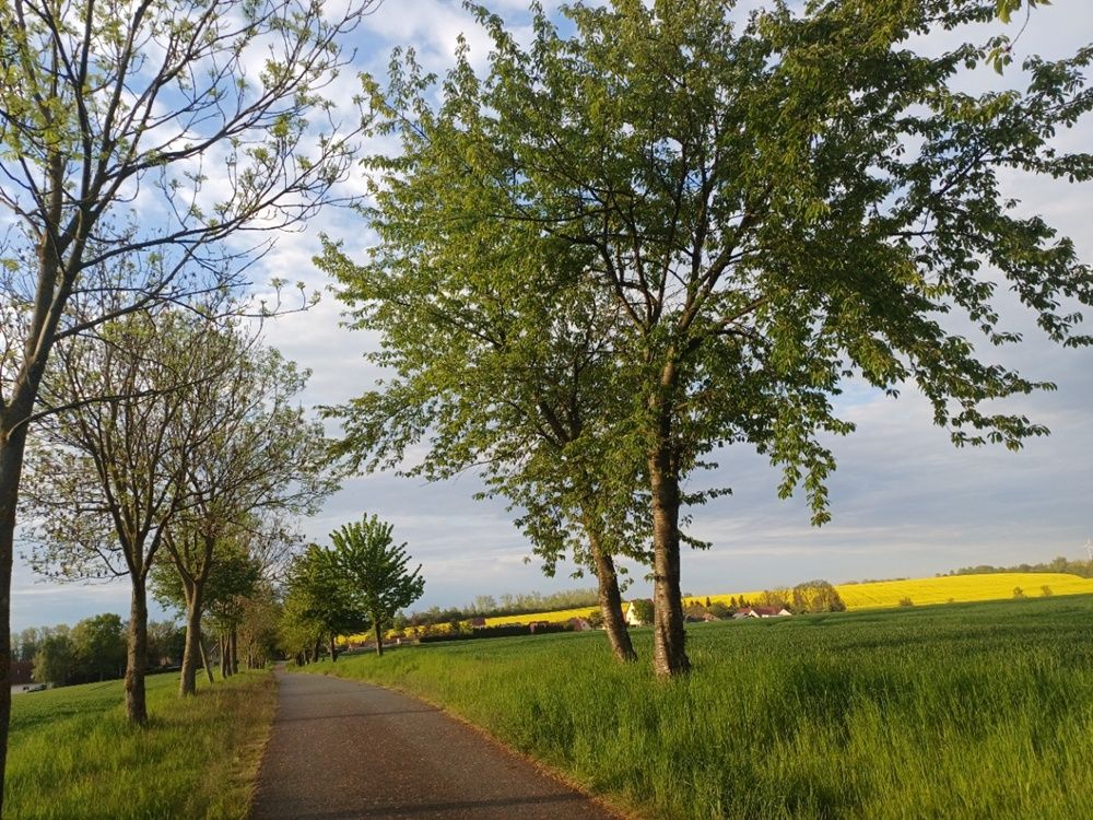 Radweg von Altpoderschau nach Meuselwitz.
