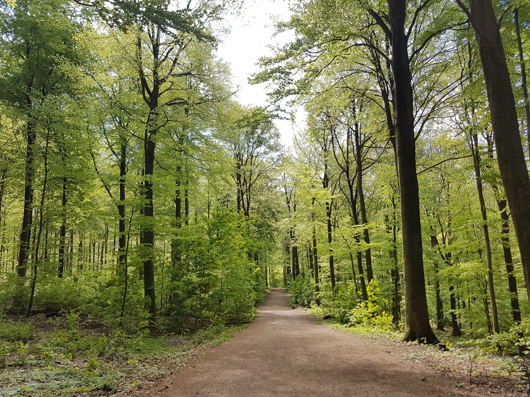 grüne Hölle.... Wunderschön