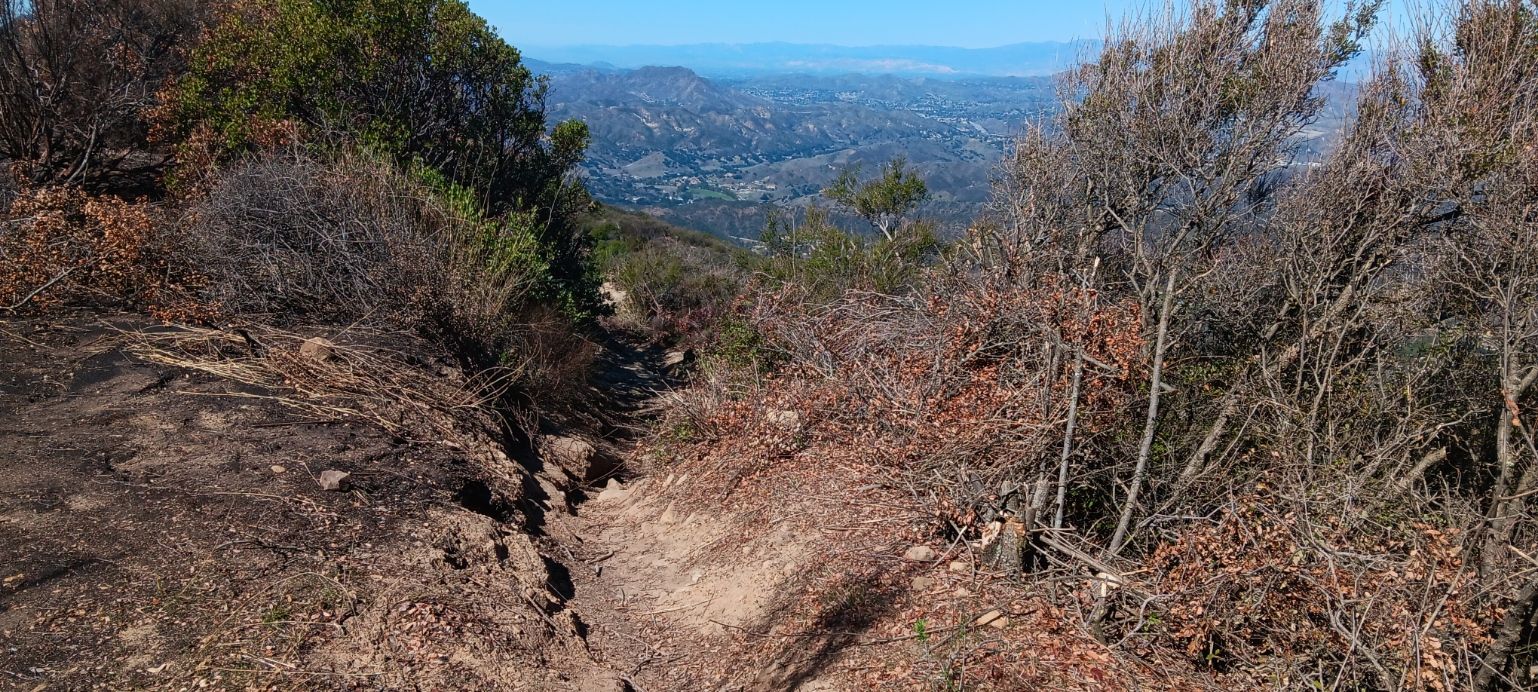 Narrow dirt trail winding down a brush-covered hillside with a distant valley view. - Backbone Trail to Saddle Peak
