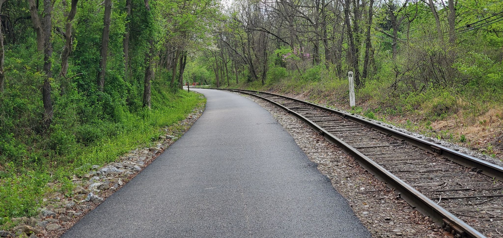 A paved path curves alongside railroad tracks through a lush green forest. - New Freedom loop from Shrewsbury