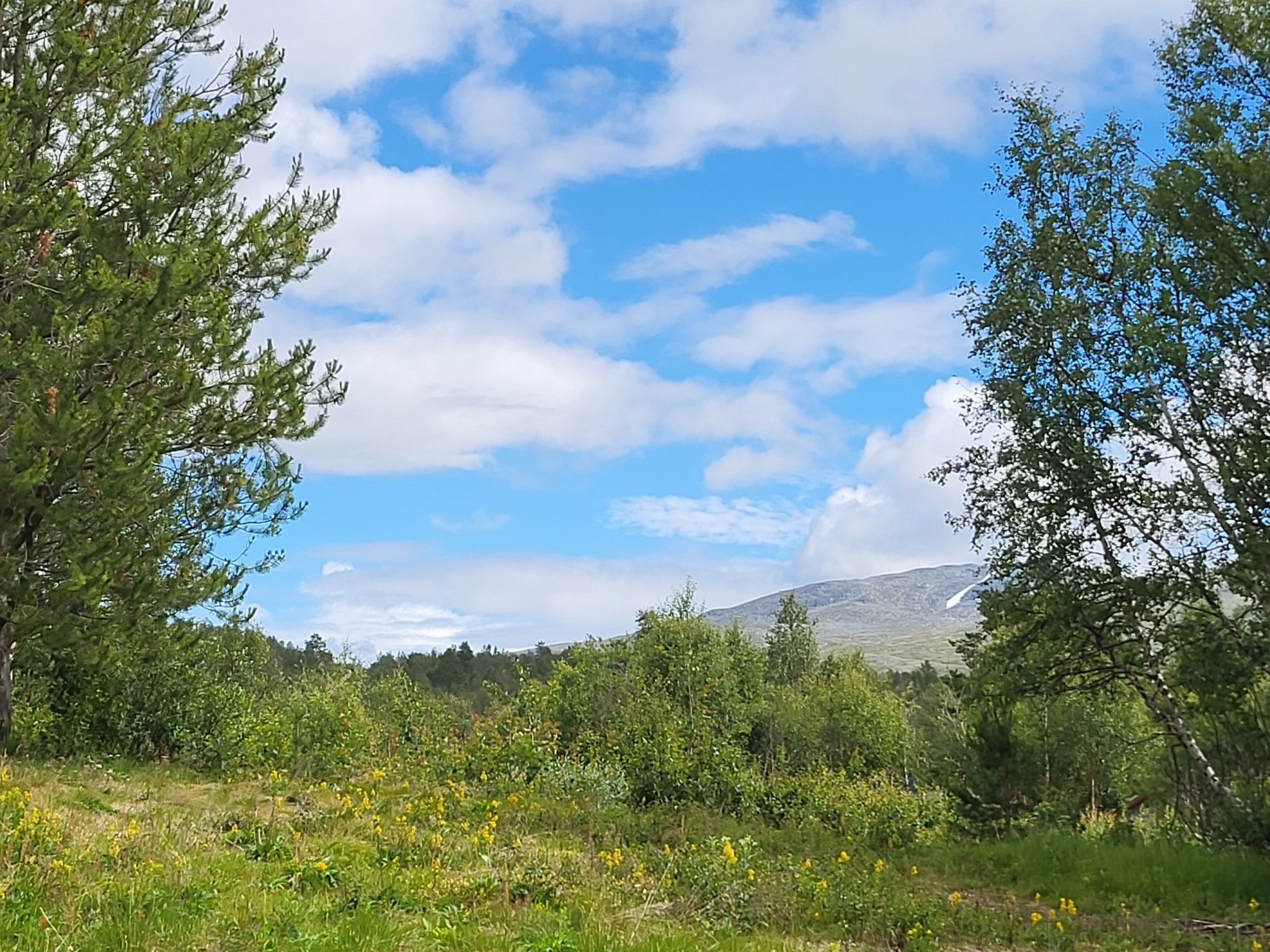 Tydalen