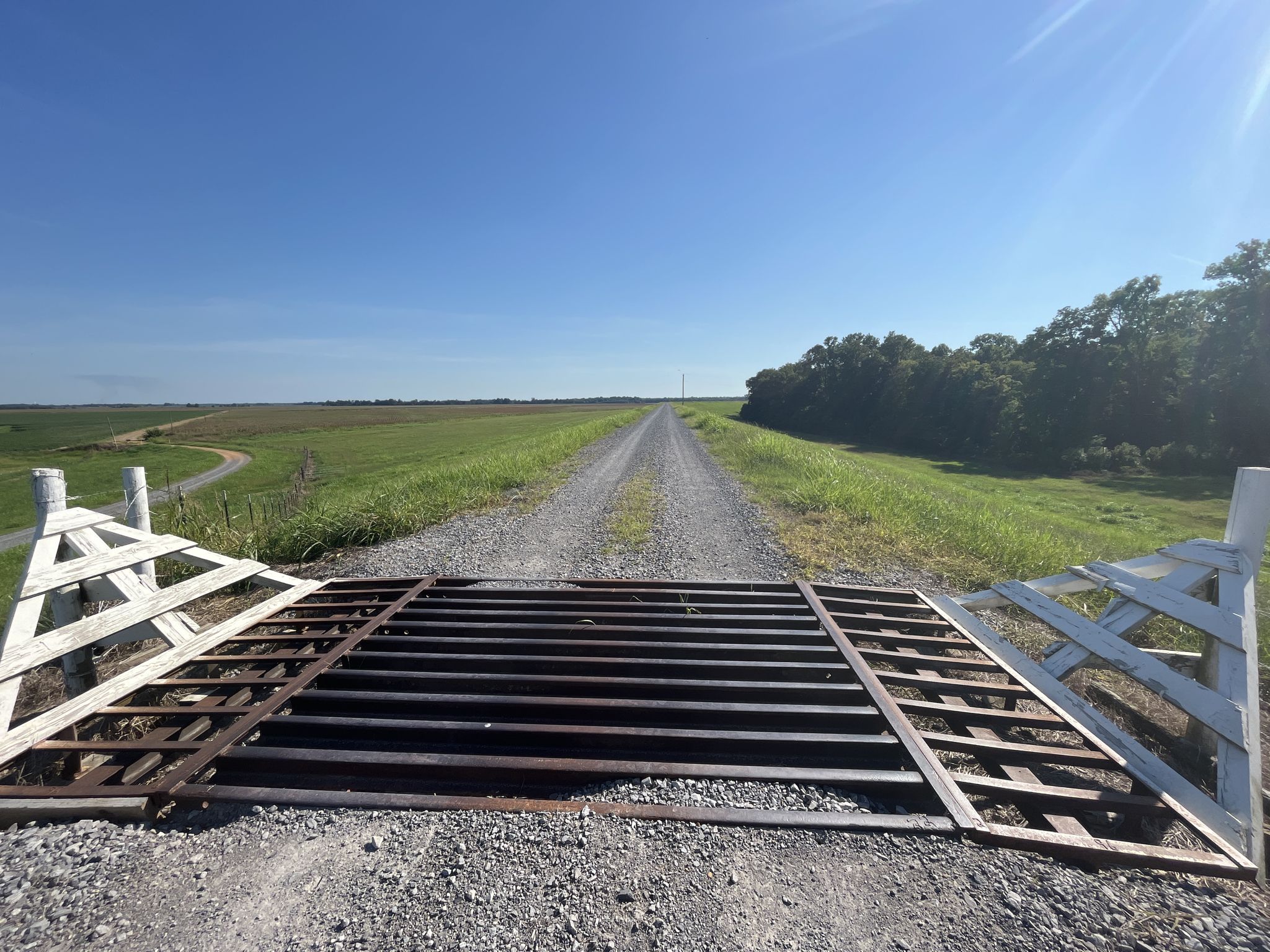 A cattle guard on a gravel road through flat green fields under a bright sky. - Tunica loop via Great River Road Bike Trail