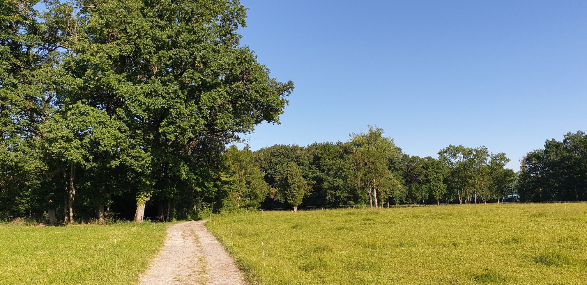 Les bois  de Loex