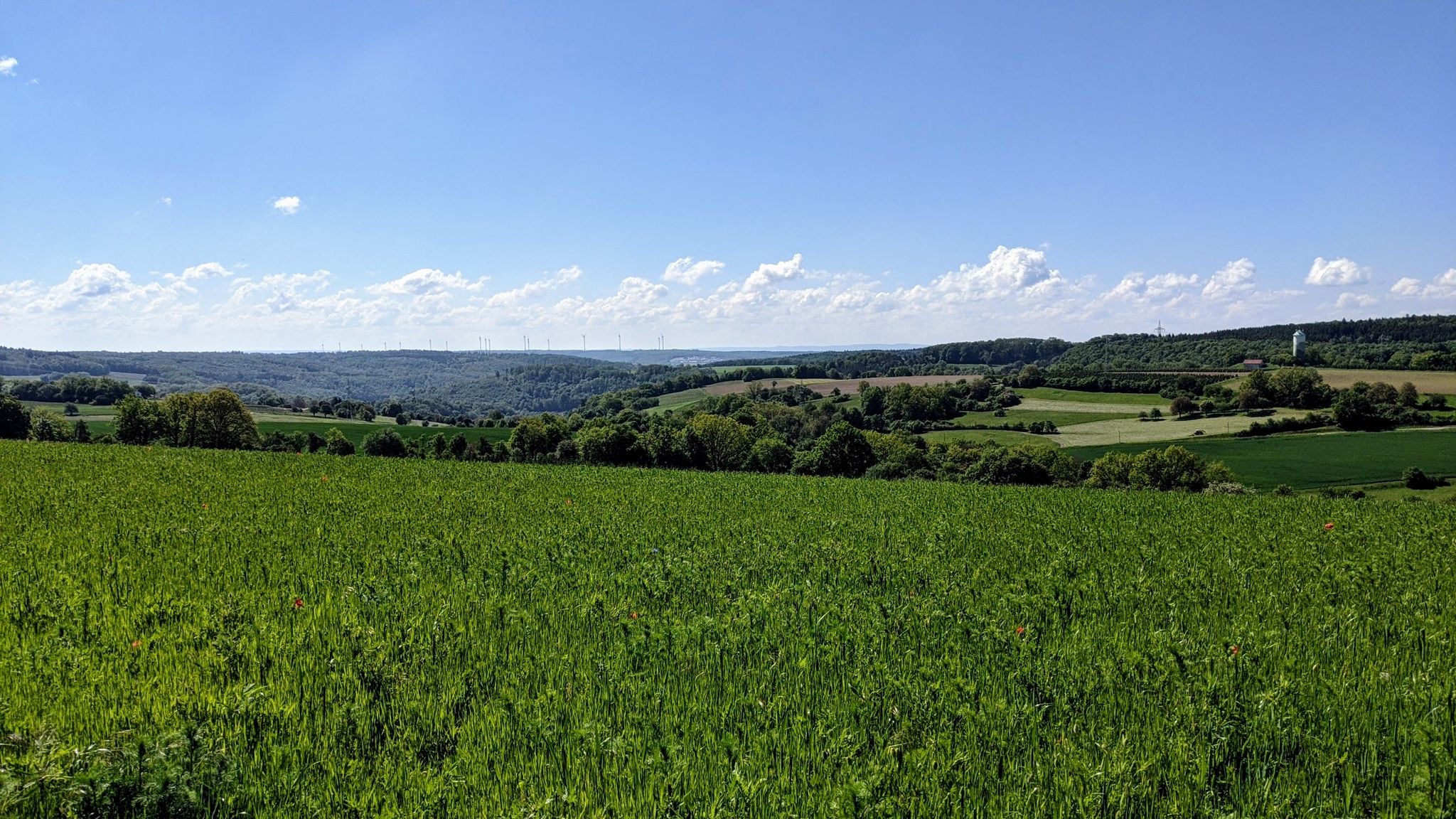Aussichtspunkt Roigheim N