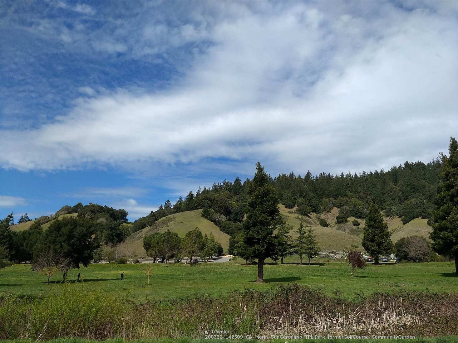 Vast green fields with scattered trees, rolling hills, and a cloudy blue sky. - Alpine Lake – Alpine Dam loop from Point Reyes Station