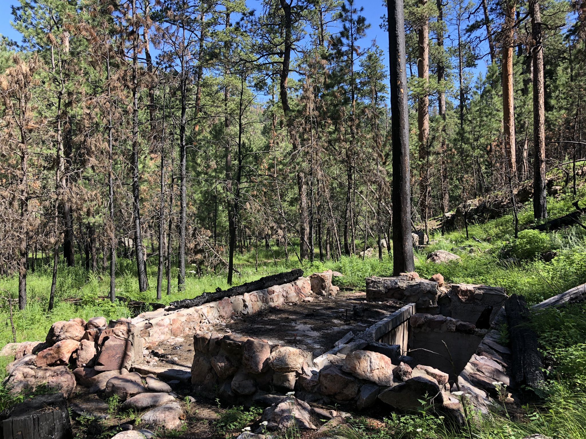 An old stone structure in a forest with burnt trees and green undergrowth. - Custer State Park loop via Continental Trail
