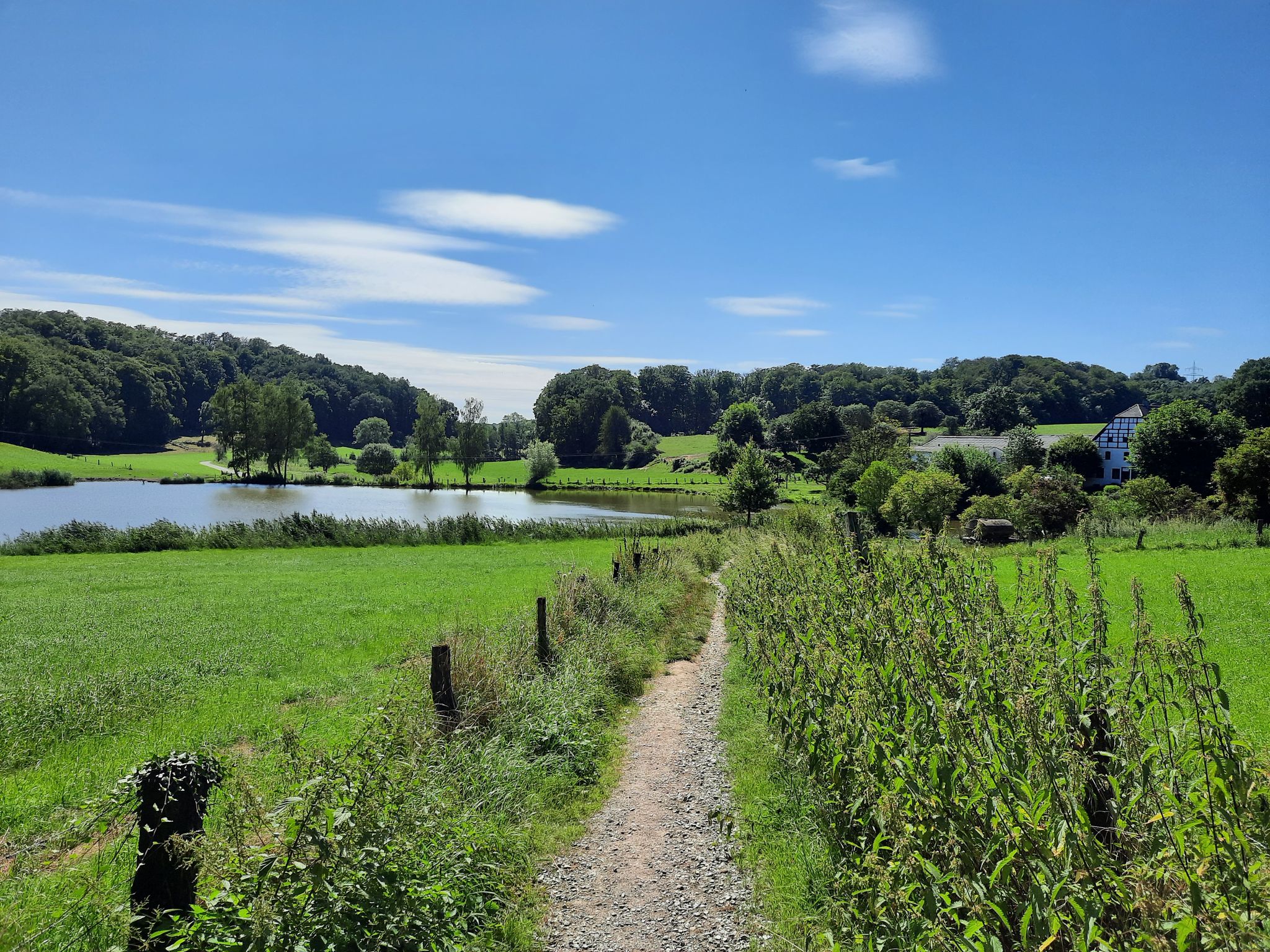 Rotthäuser Bachtal
