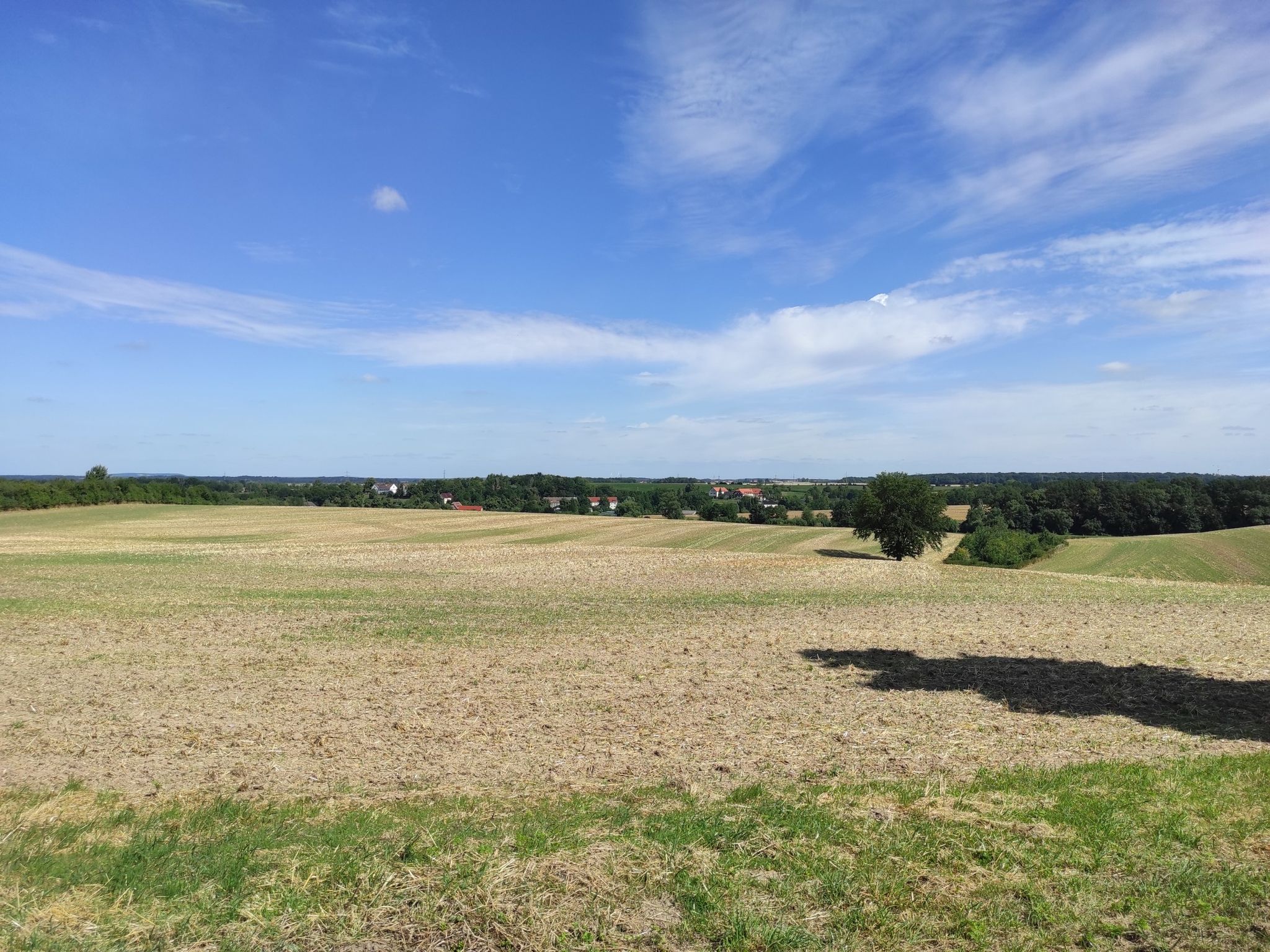 Ausblick