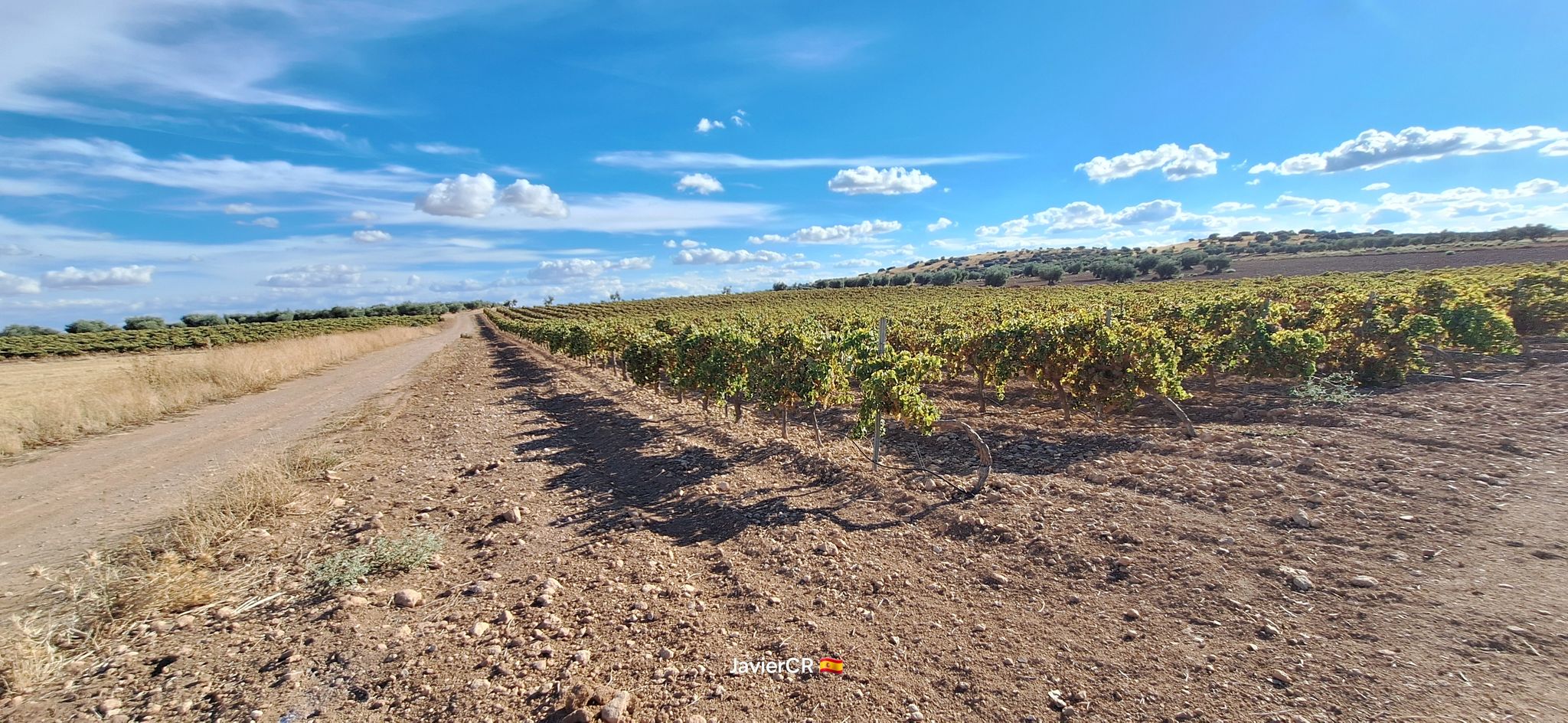 Cruce Camino de Carrión a Almagro