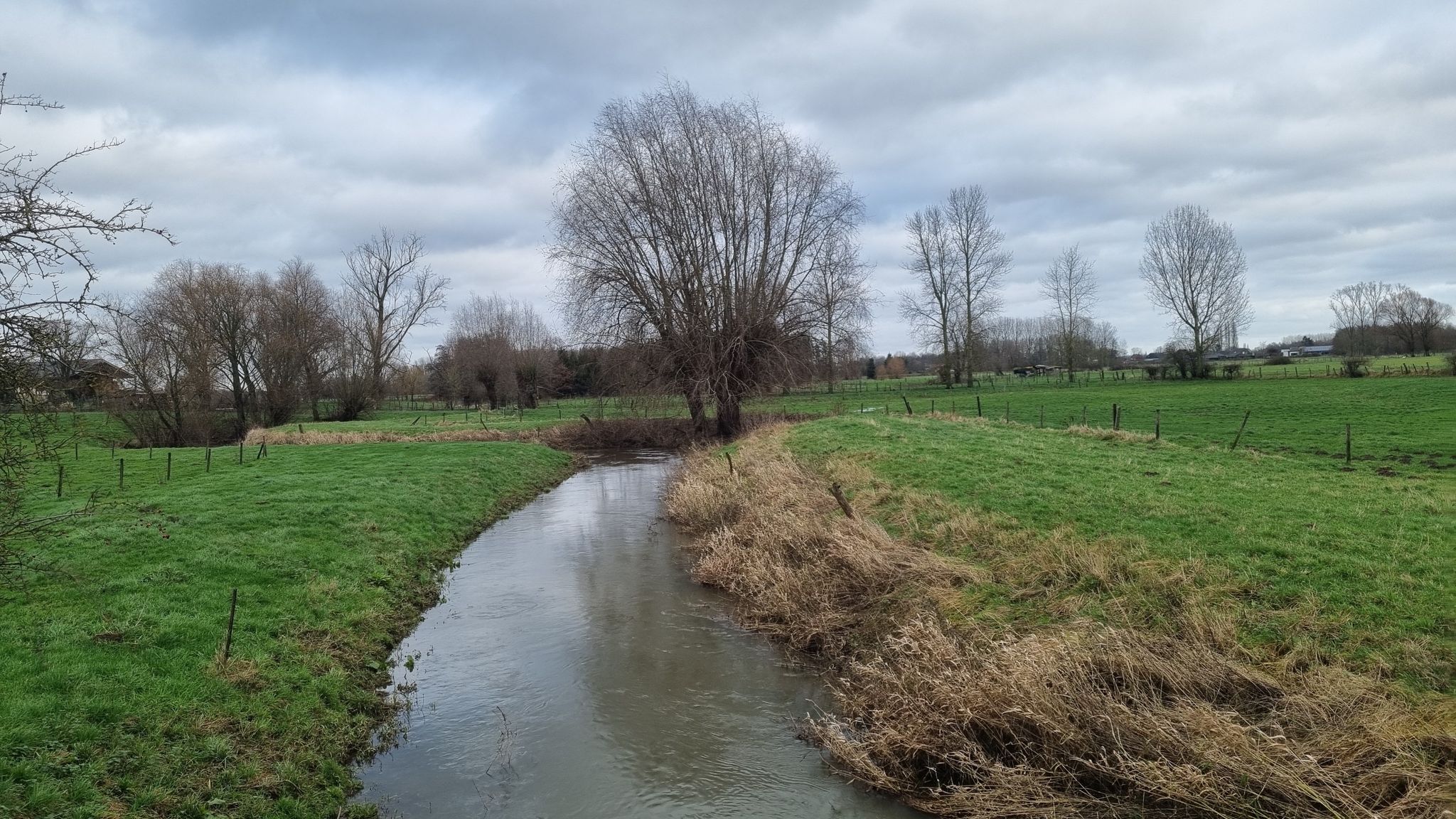 De Velpe