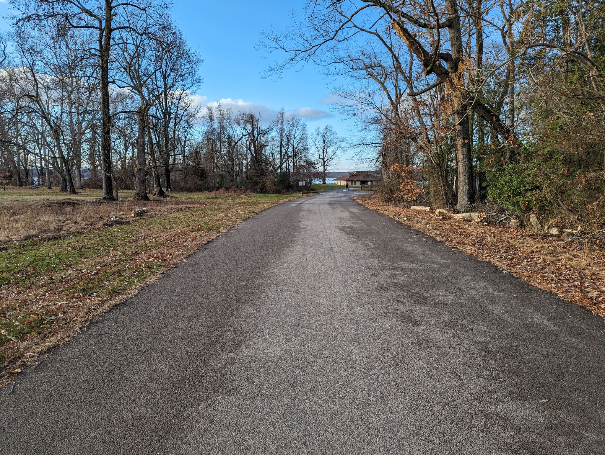 Paved road leading towards distant water, flanked by bare trees under a blue sky. - Beautiful wooded area (High Point Road) – Belmont Bay loop from Mason Neck State Park