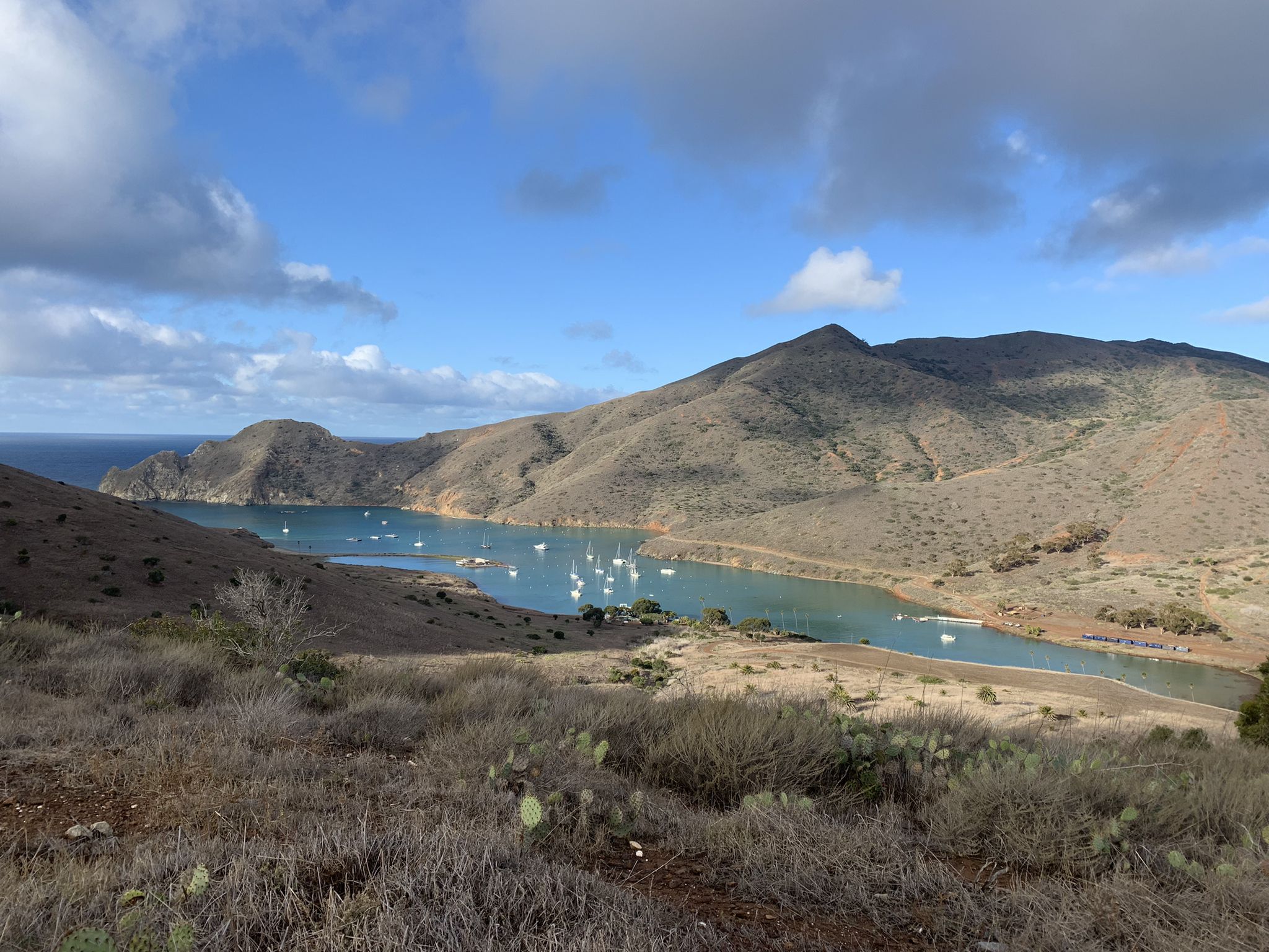 Expansive bay with boats surrounded by dry, rugged hills under a bright sky. - Trans-Catalina Trail: Little Harbor to Two Harbors