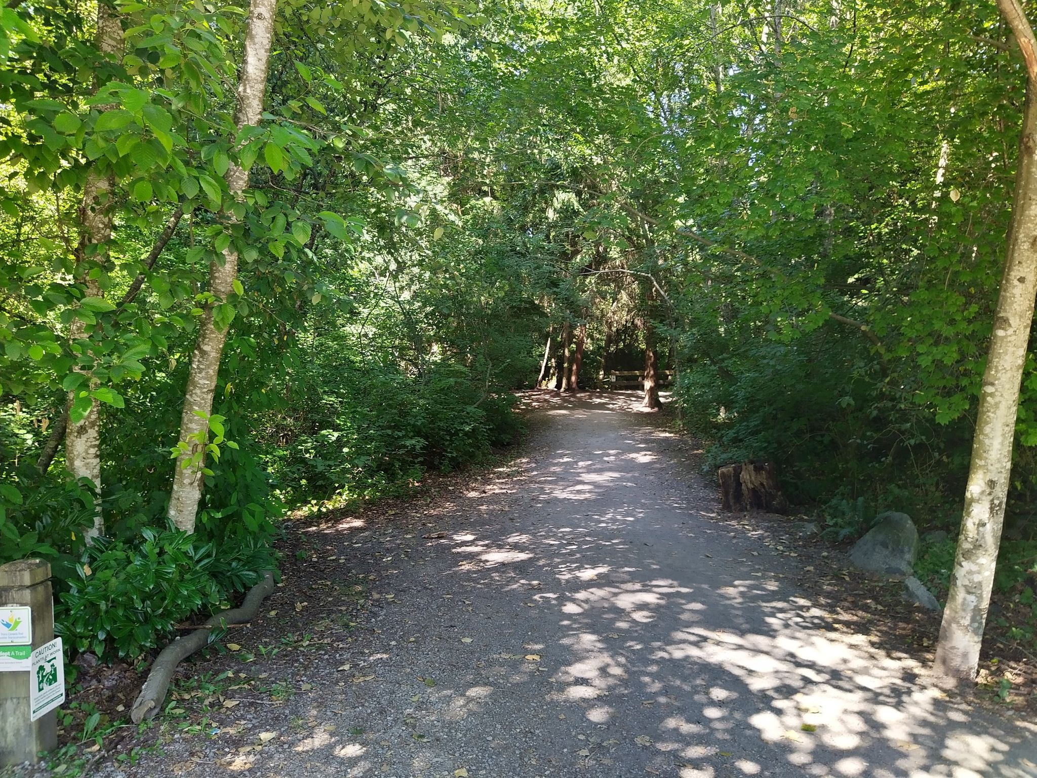 Holy Creek Trail