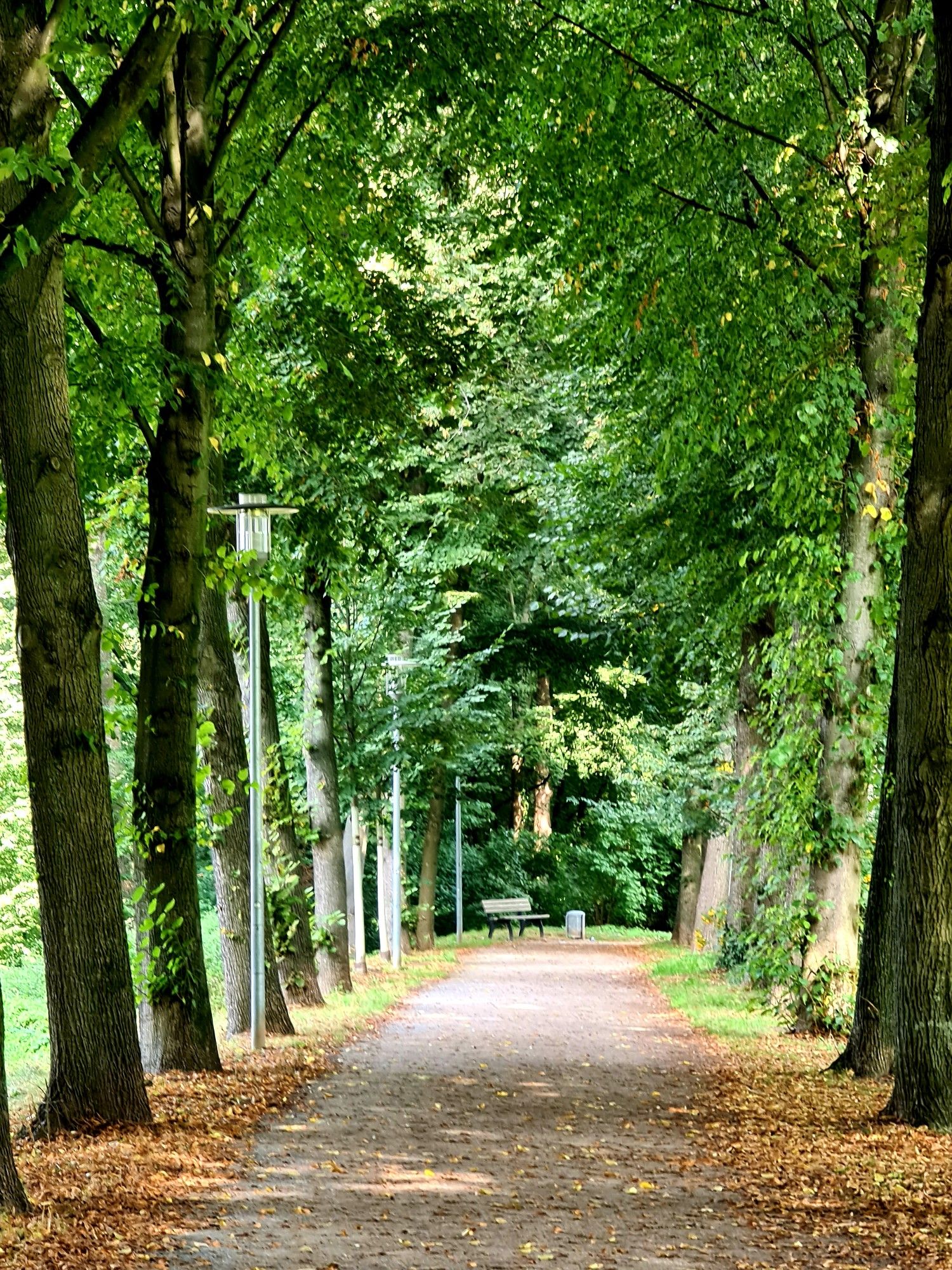 Schloss Mickeln 1210 Jh.