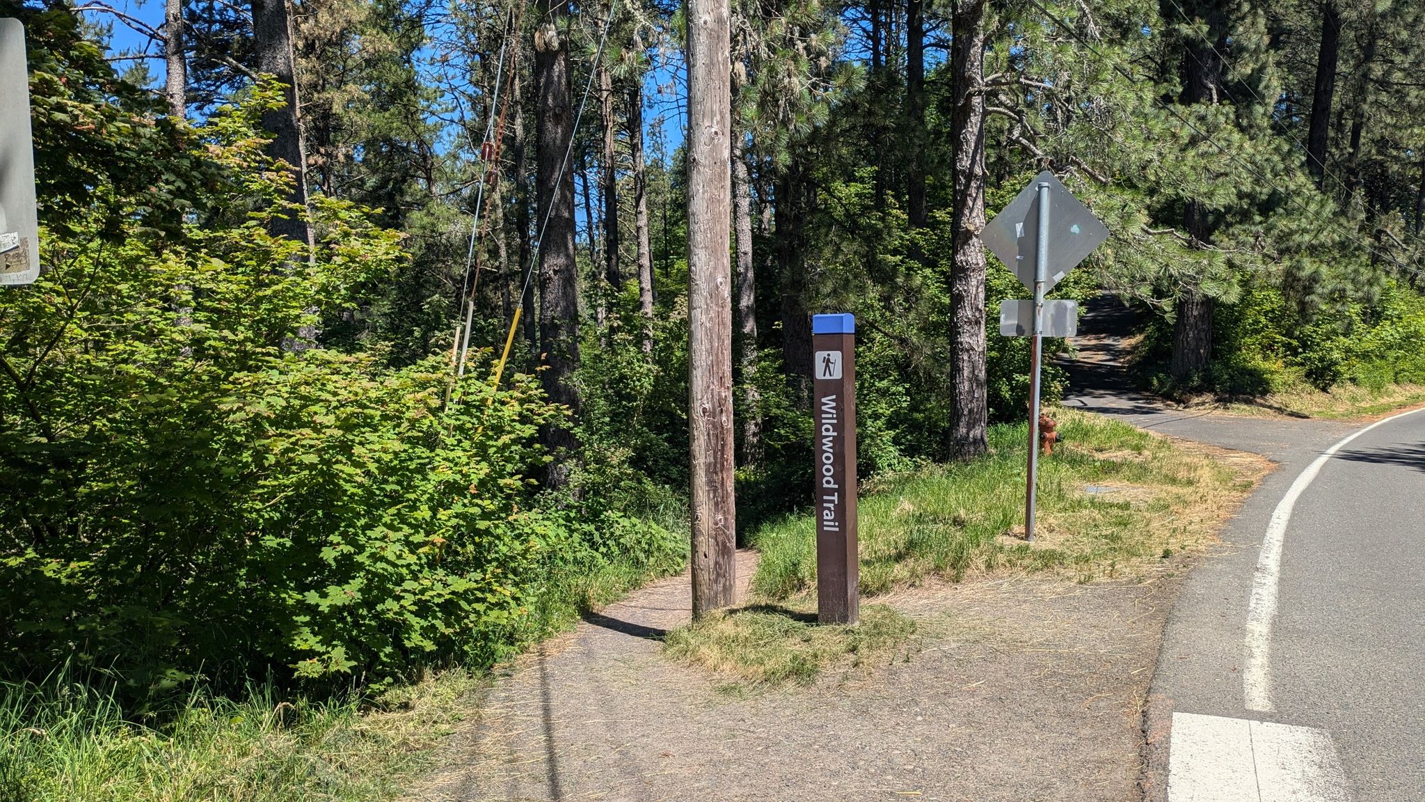 A trail sign stands beside a paved road leading into a wooded area. - Hoyt Arboretum – Hoyt Arboretum loop from Hoyt Arboretum