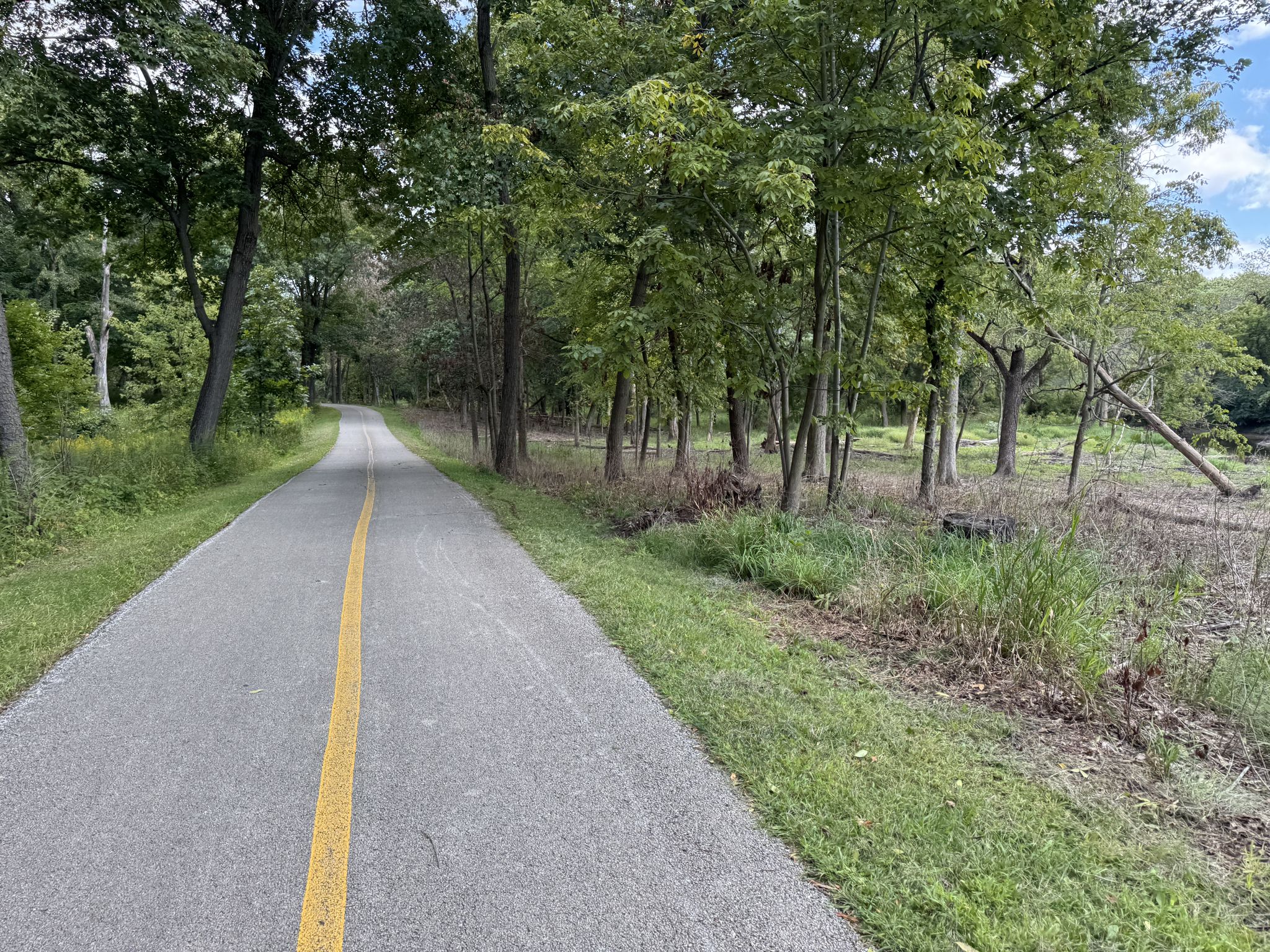 Paved path with green trees and grassy banks under a bright sky. - Salt Creek Greenway Trail