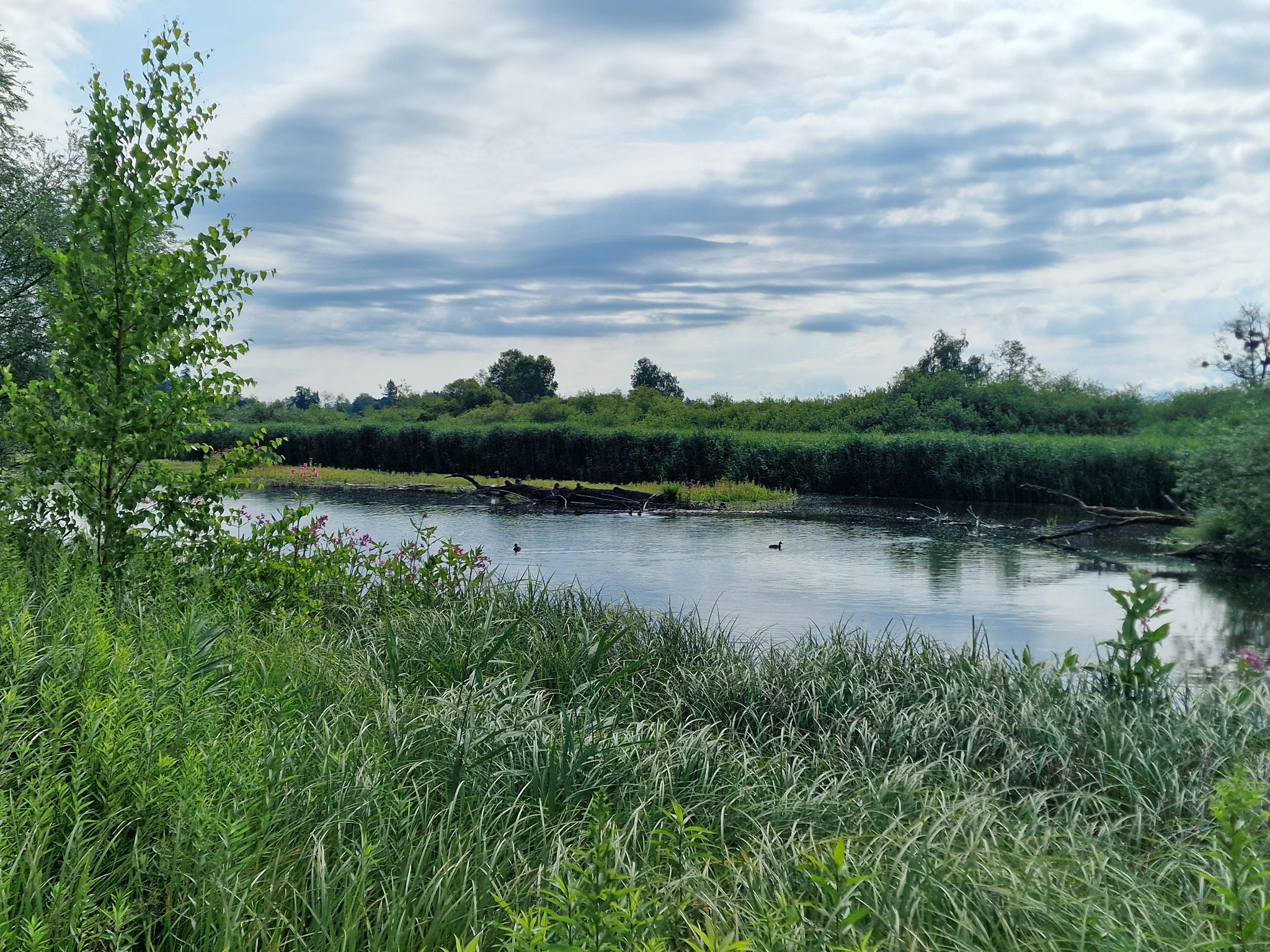 Mündung der Prien