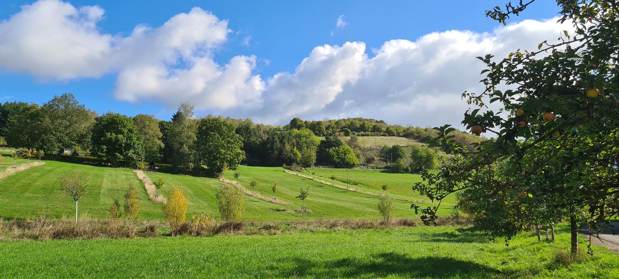 Blick "Auf Kappesfeld"