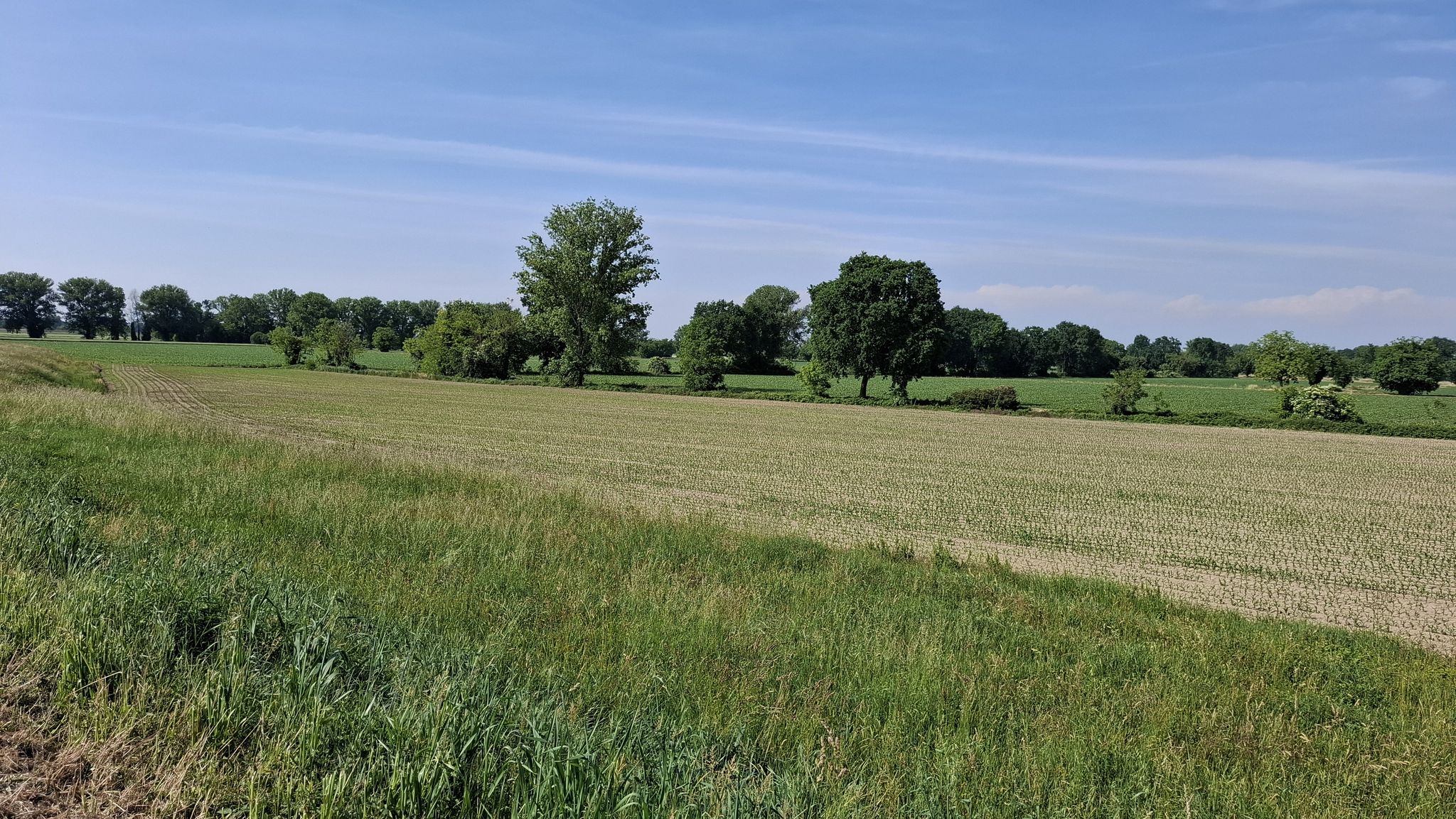 La campagna alle foce dell'Adda.