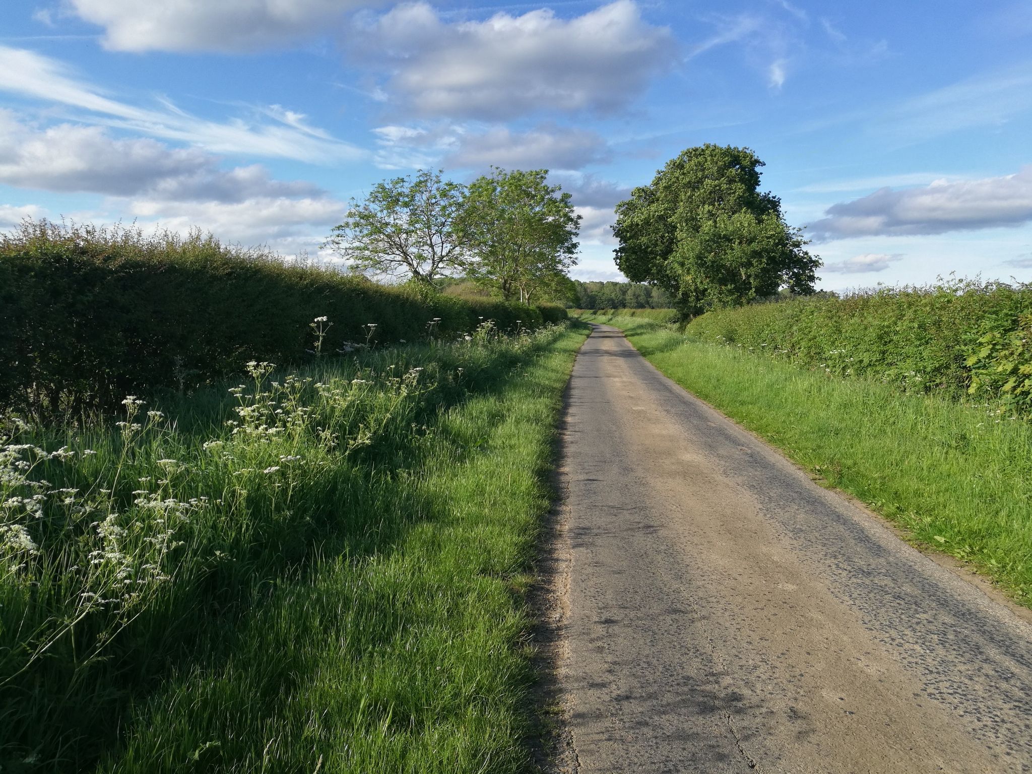 Quiet rural lane near Monks Kirby