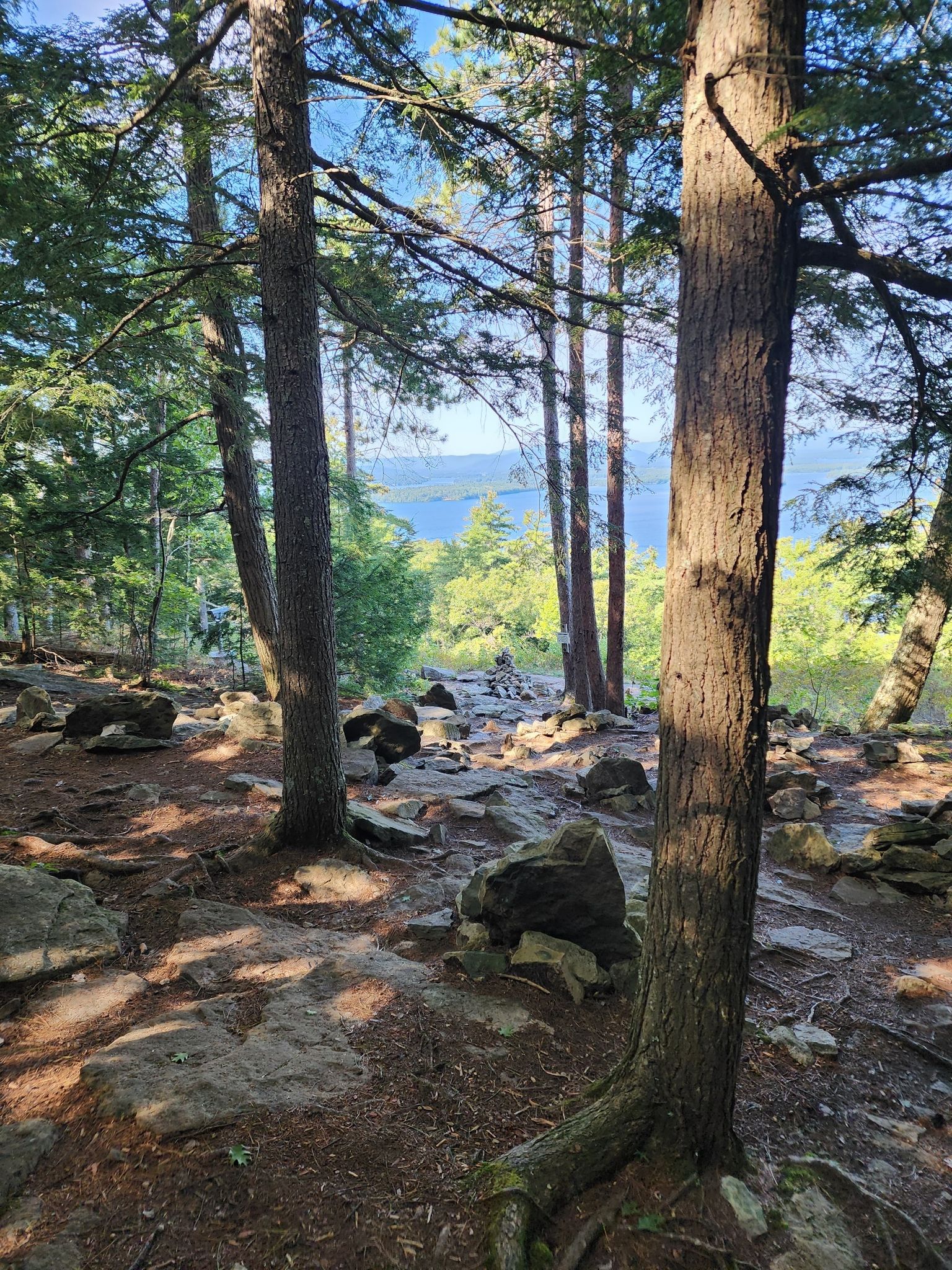 Rocky forest path with tall trees overlooking a sunny lake. - Lockes Hill Loop via Quarry and Lakeview Trails