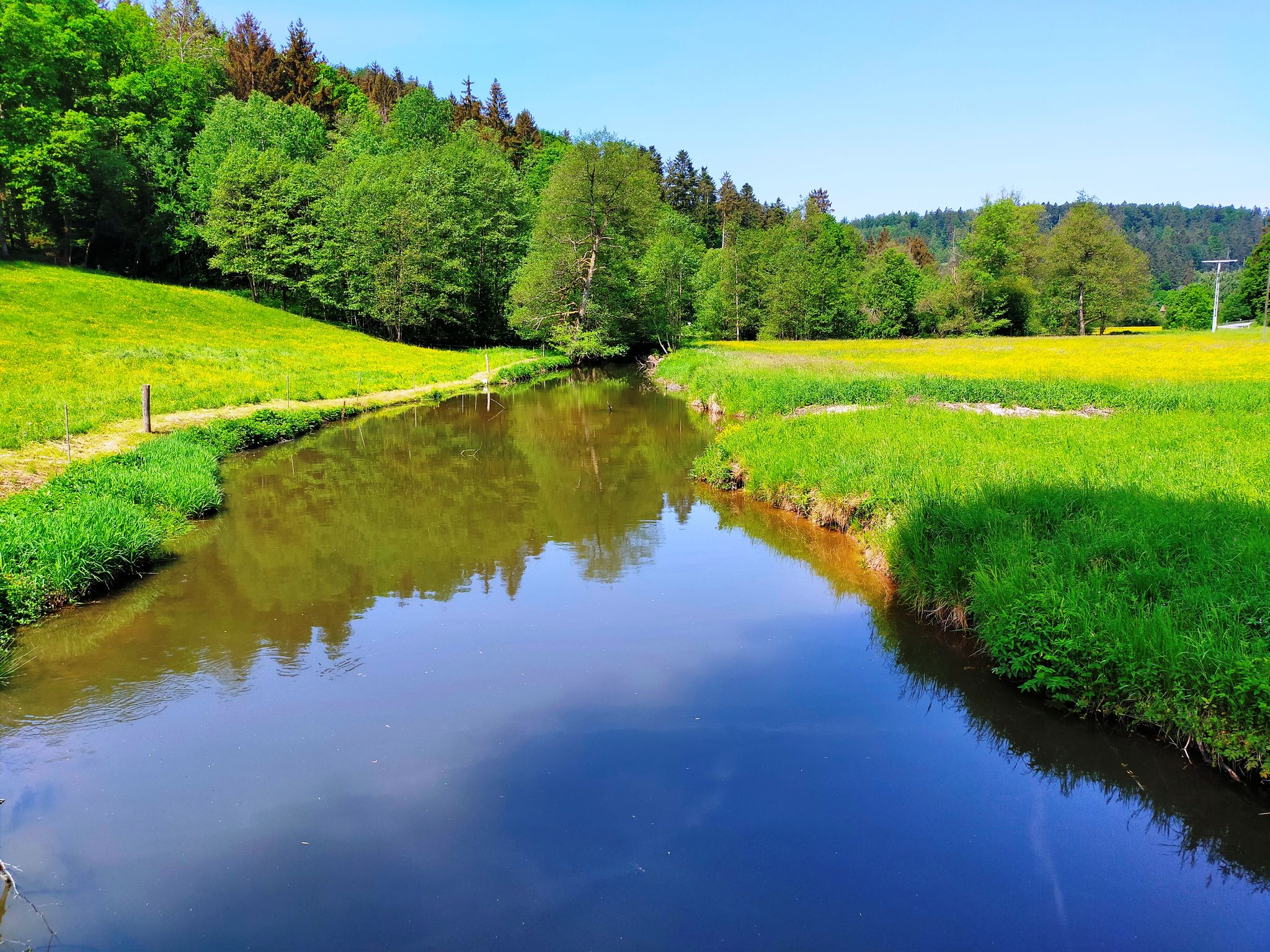 Die Rot bei der Hammerschmiede.