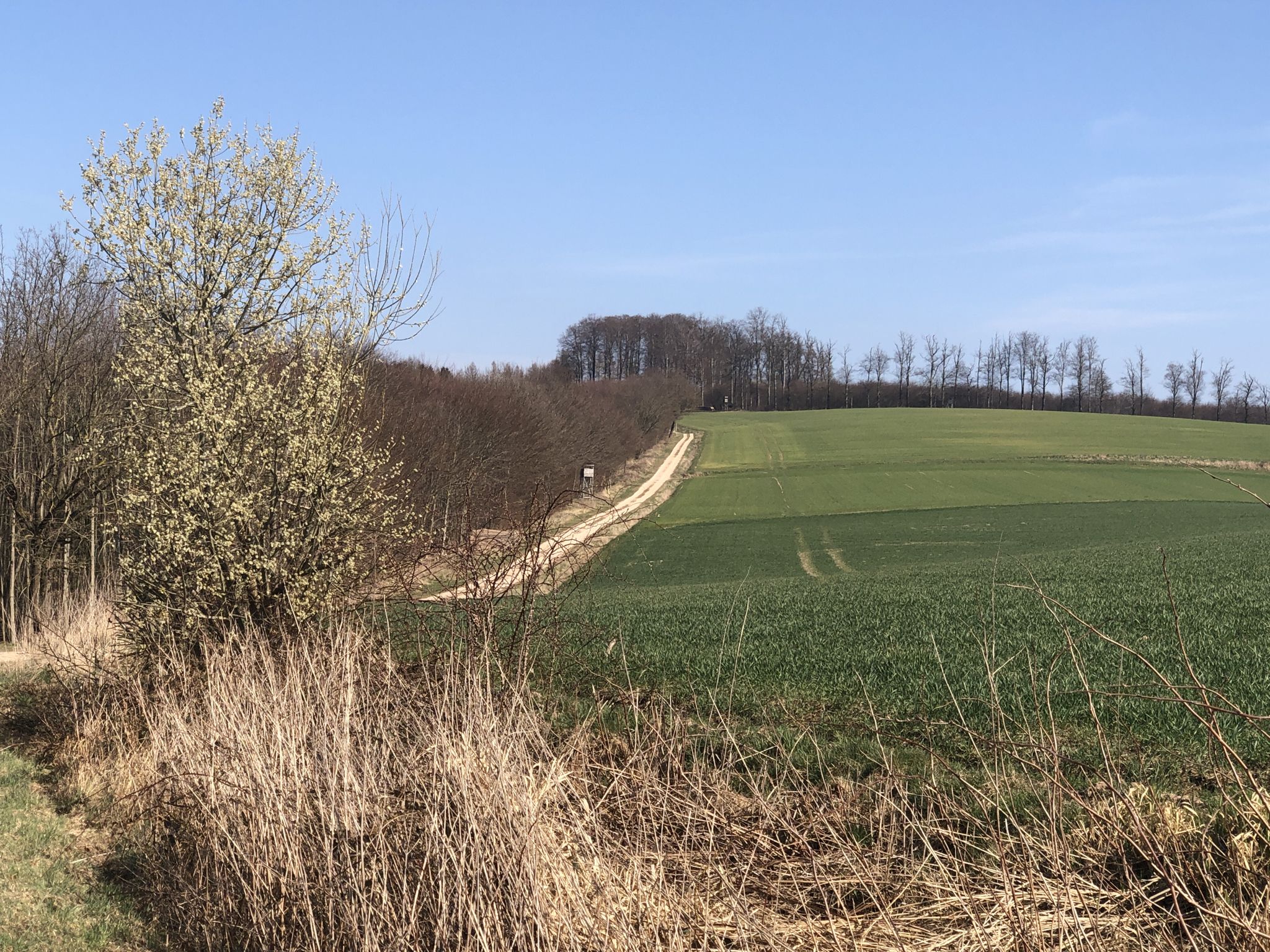 Blick zurück!
