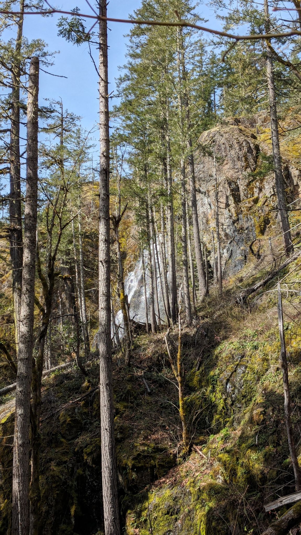 Tall trees frame a waterfall cascading down a rocky cliff in bright daylight. - Duckabush River to Anderson and LaCrosse Pass