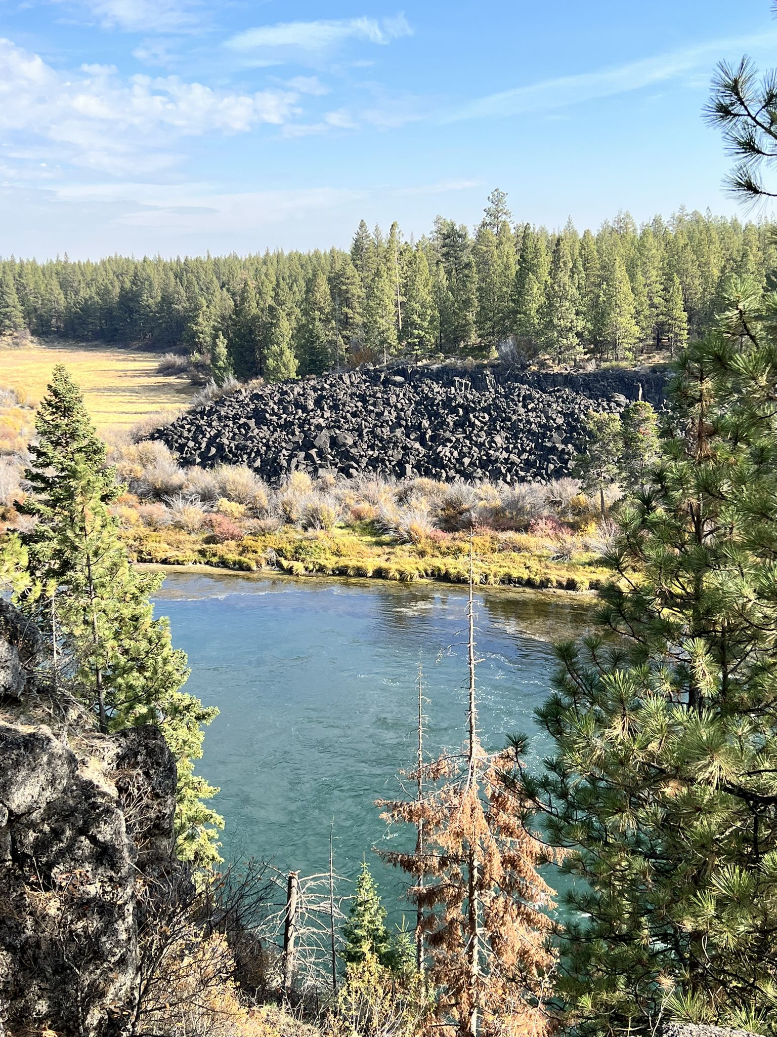A river flows past a large pile of dark lava rock and green forest. - Deschutes River Trail